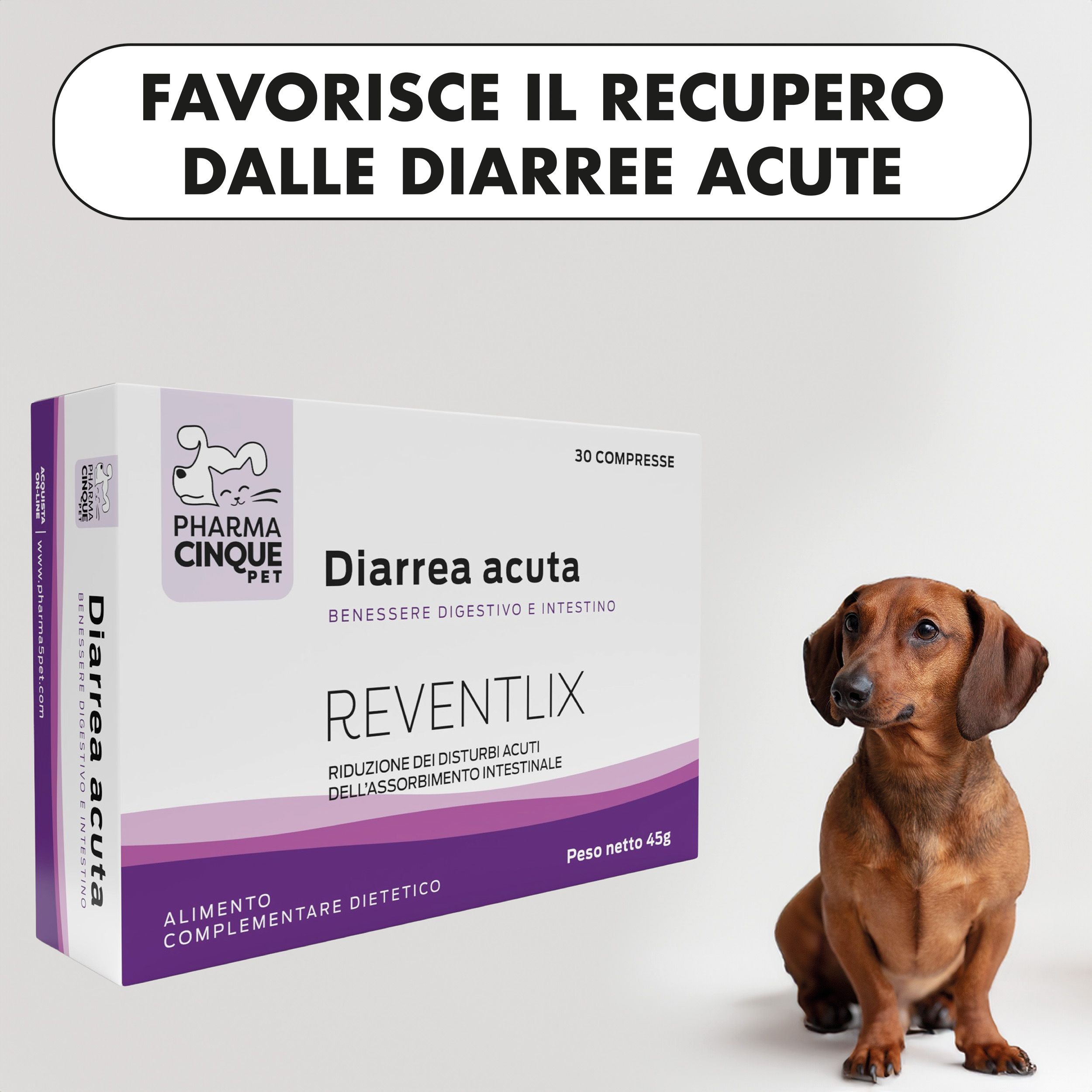 Confezione prodotto con testo: Favorisce il recupero. Contiene 30 compresse. Cane seduto accanto.