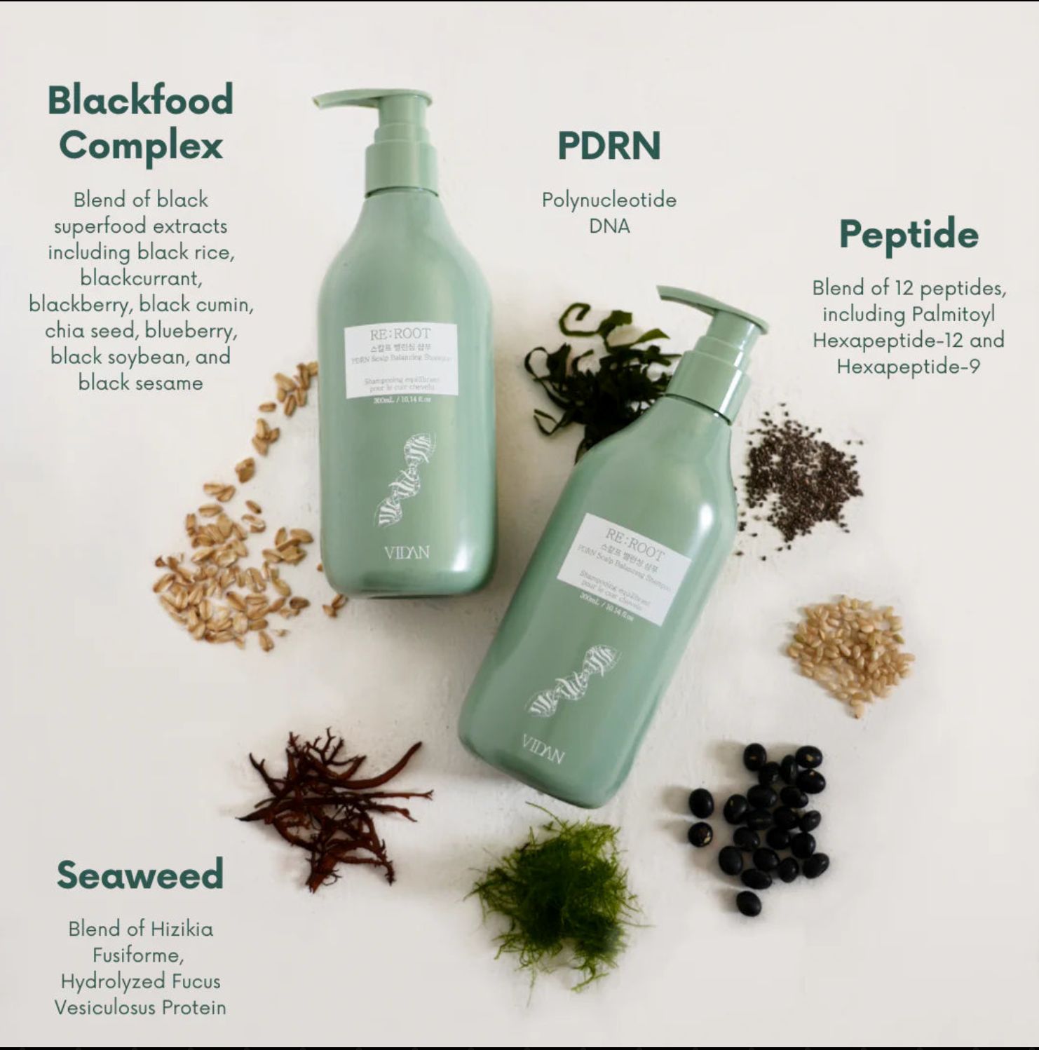 RE:ROOT – PDRN Scalp Balancing Shampoo
