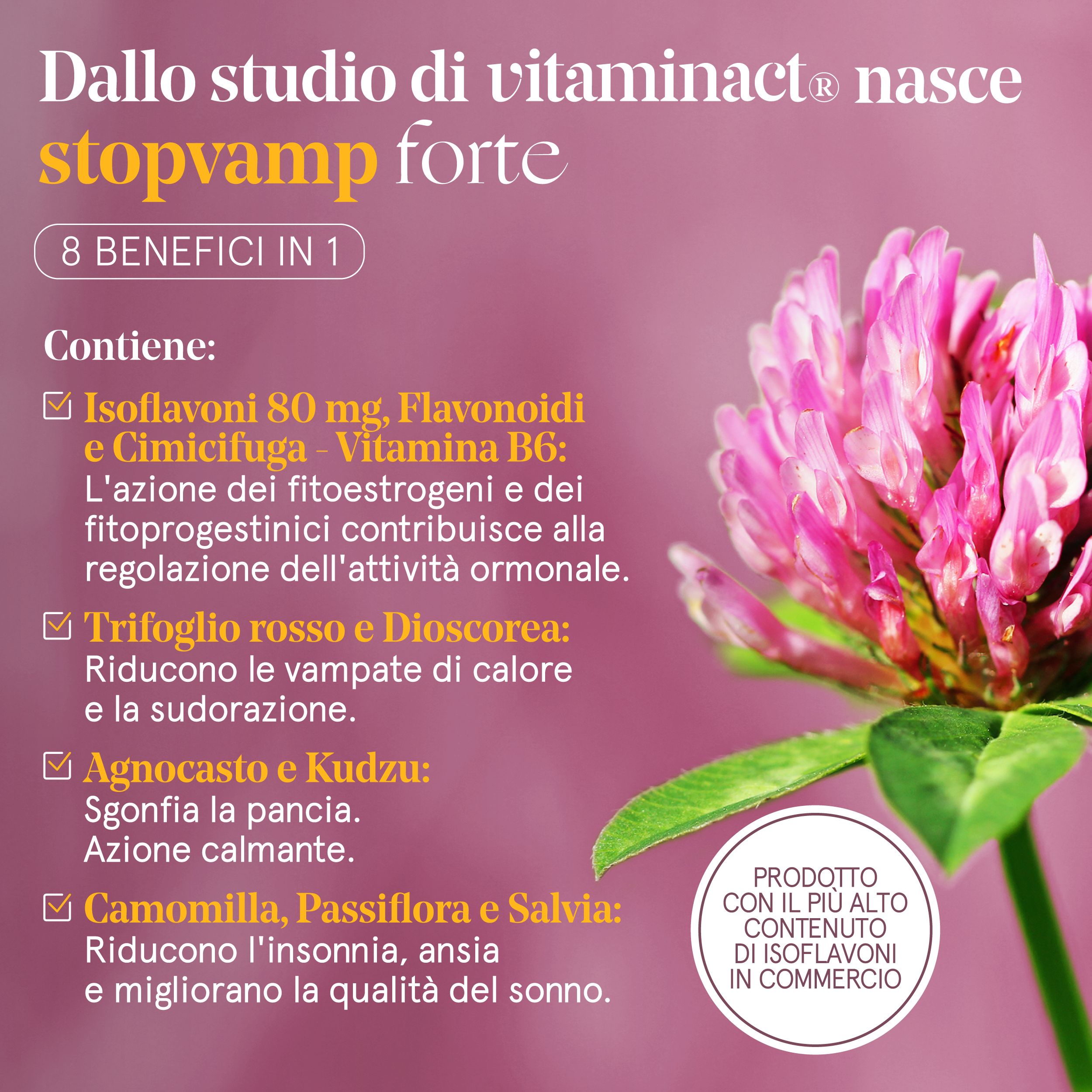 Sfondo rosa con trifoglio e testo. Testo: "stopvamp forte". 8 benefici in 1. Contiene isoflavoni, flavonoidi, ecc.