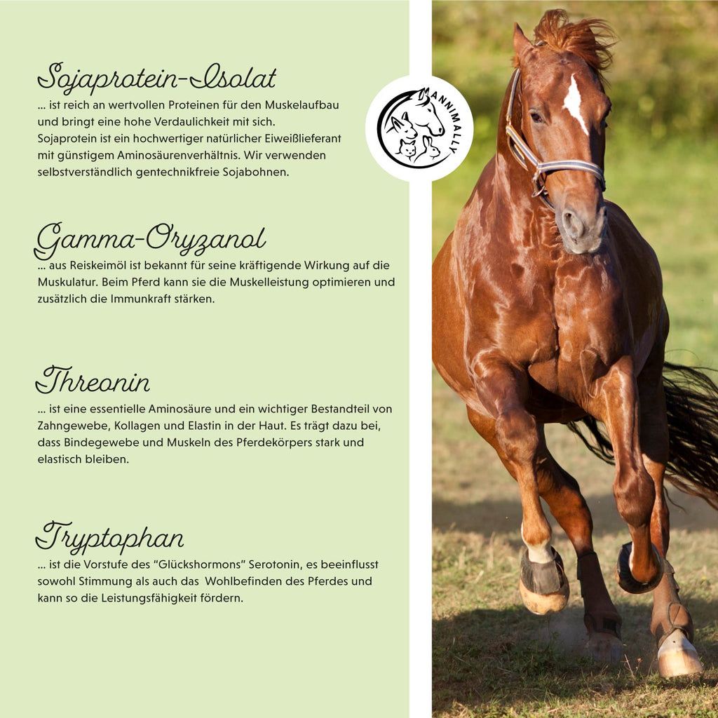 Testo con ingredienti: Isolato di proteine della soia, Gamma-Oryzanol, Treonina, Triptofano. Logo Annimally. Cavallo sullo sfondo. Testo in tedesco.