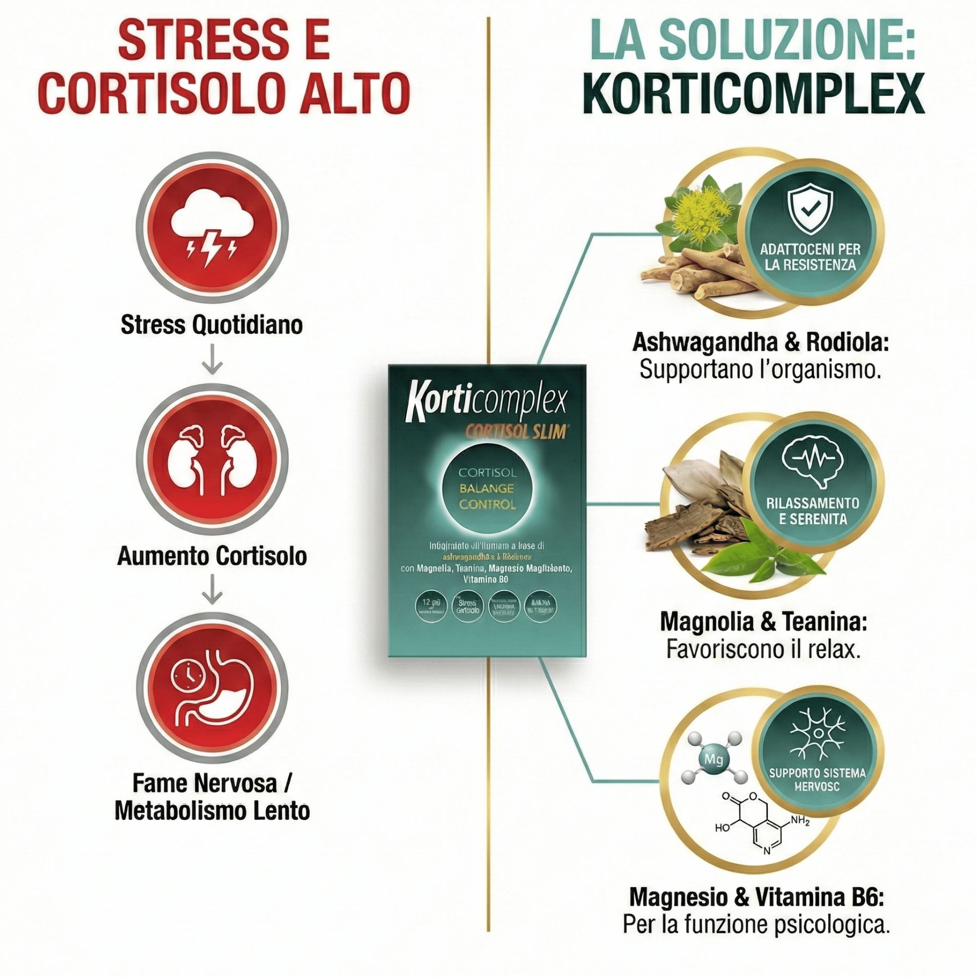 Stress e cortisolo alti: stress quotidiano, aumento cortisolo, fame nervosa. Soluzione: Korticomplex.