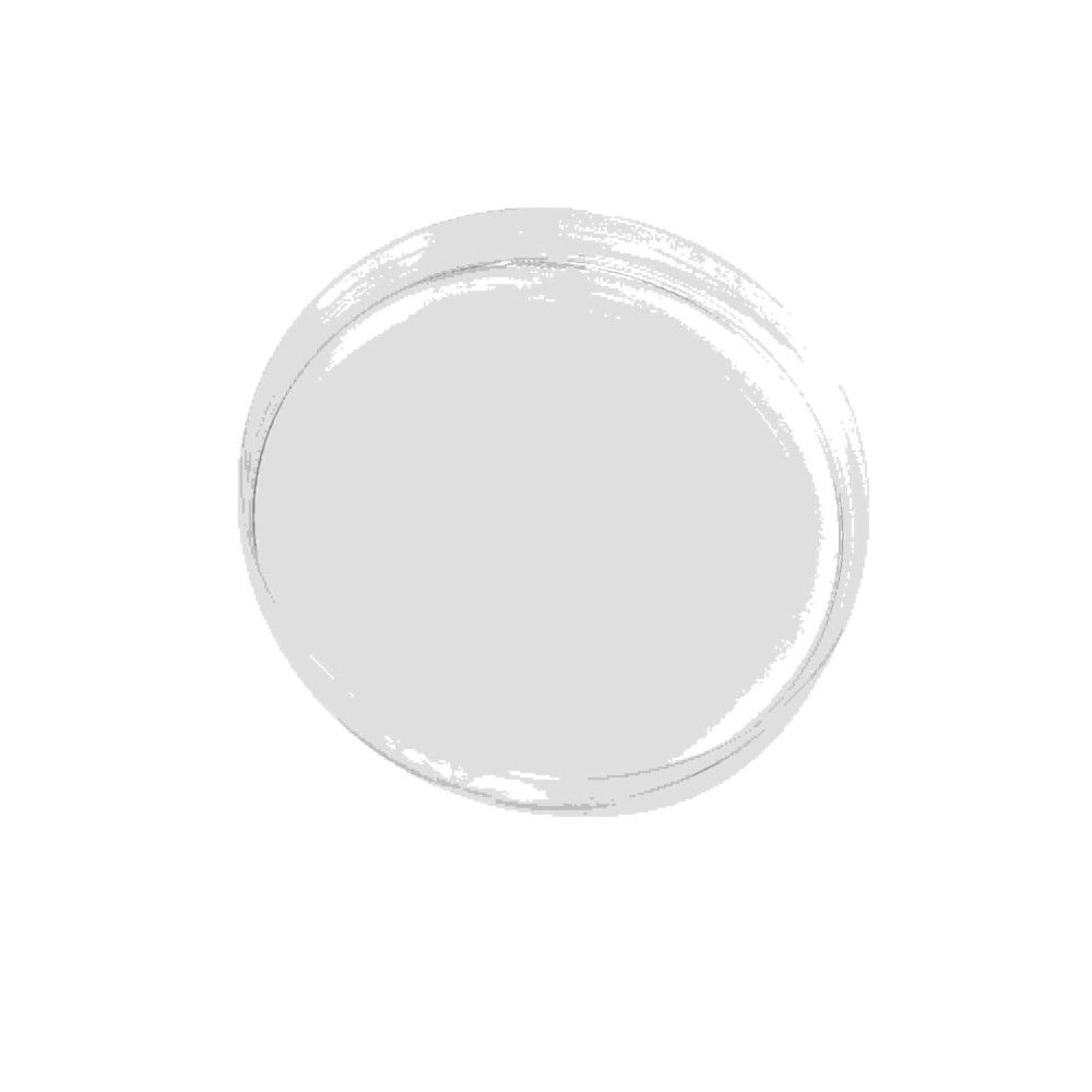 Pennellata rotonda grigia su sfondo bianco.