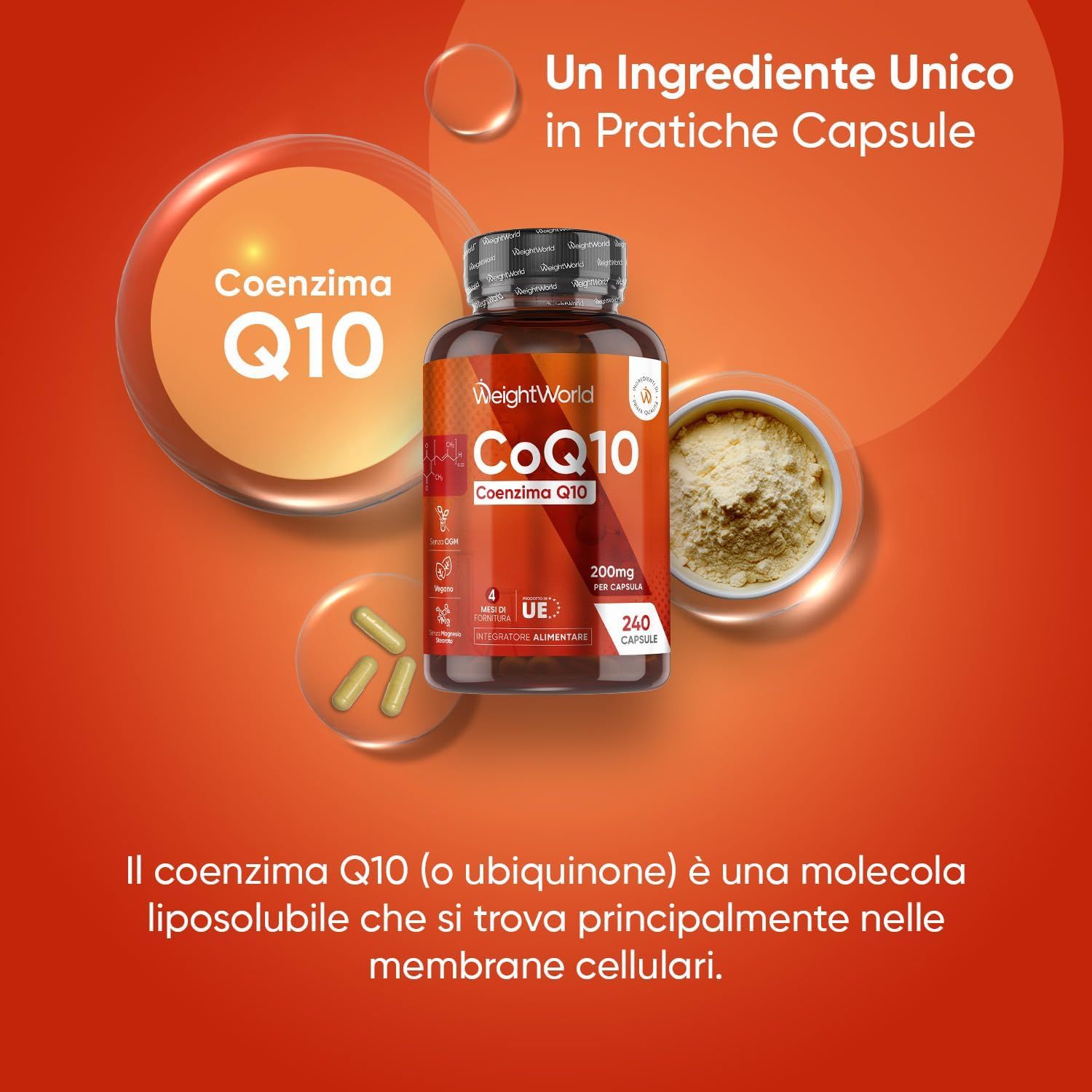 Flacone di capsule CoQ10, accanto capsule sfuse e polvere. Testo: Ingrediente unico in pratiche capsule.