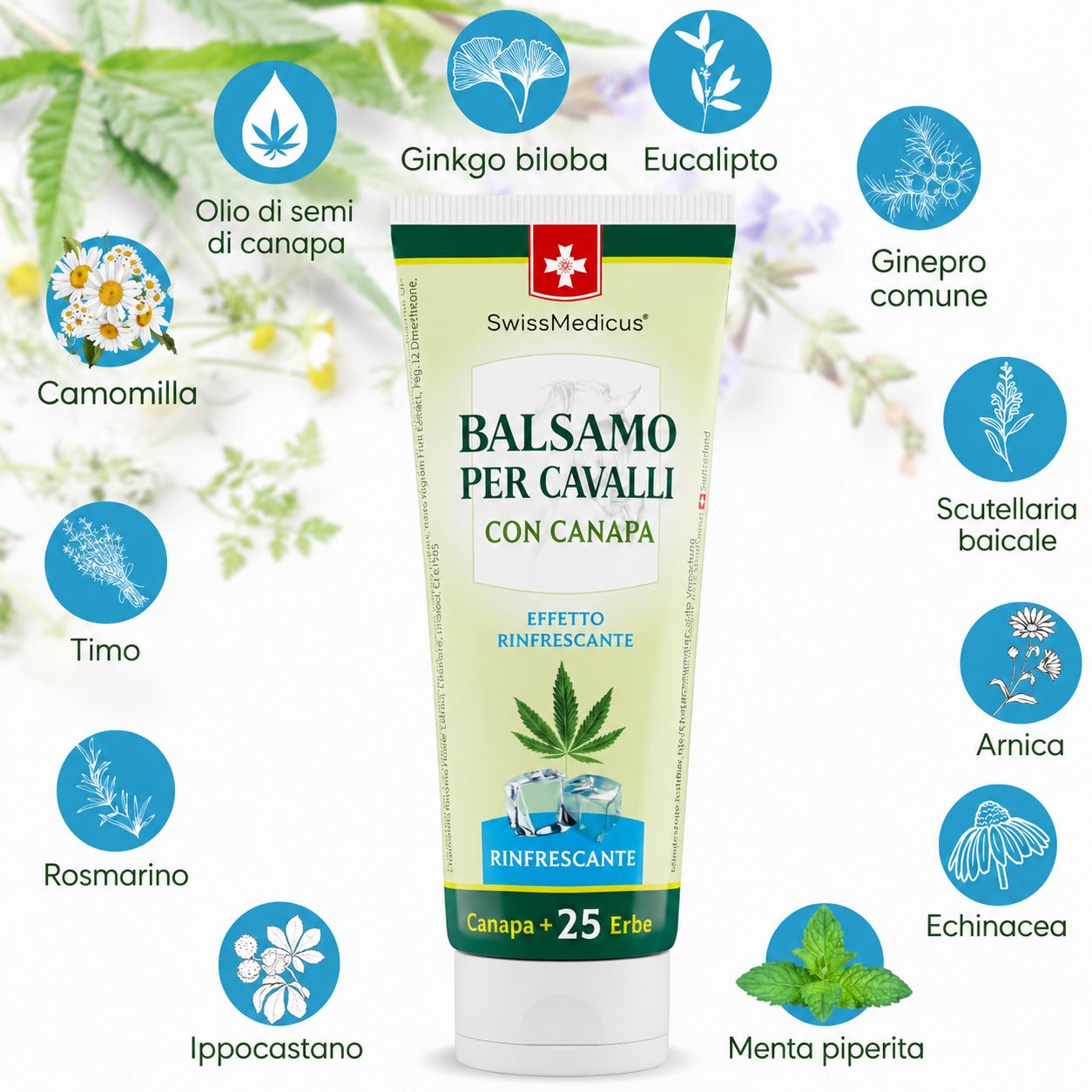 Tubo verde con logo SwissMedicus. Scritta: Balsamo per Cavalli con Canapa. Rinfrescante. Canapa + 25 erbe. Illustrazioni di erbe.