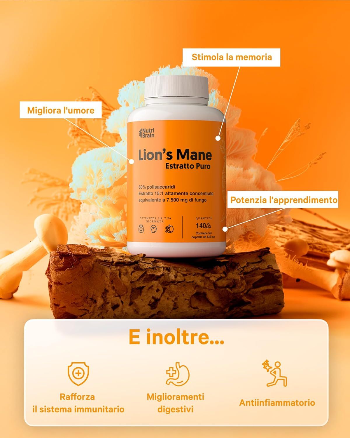 Capsula Nutri Brain Lion's Mane. Stimola la memoria, migliora l'umore, aumenta l'apprendimento.