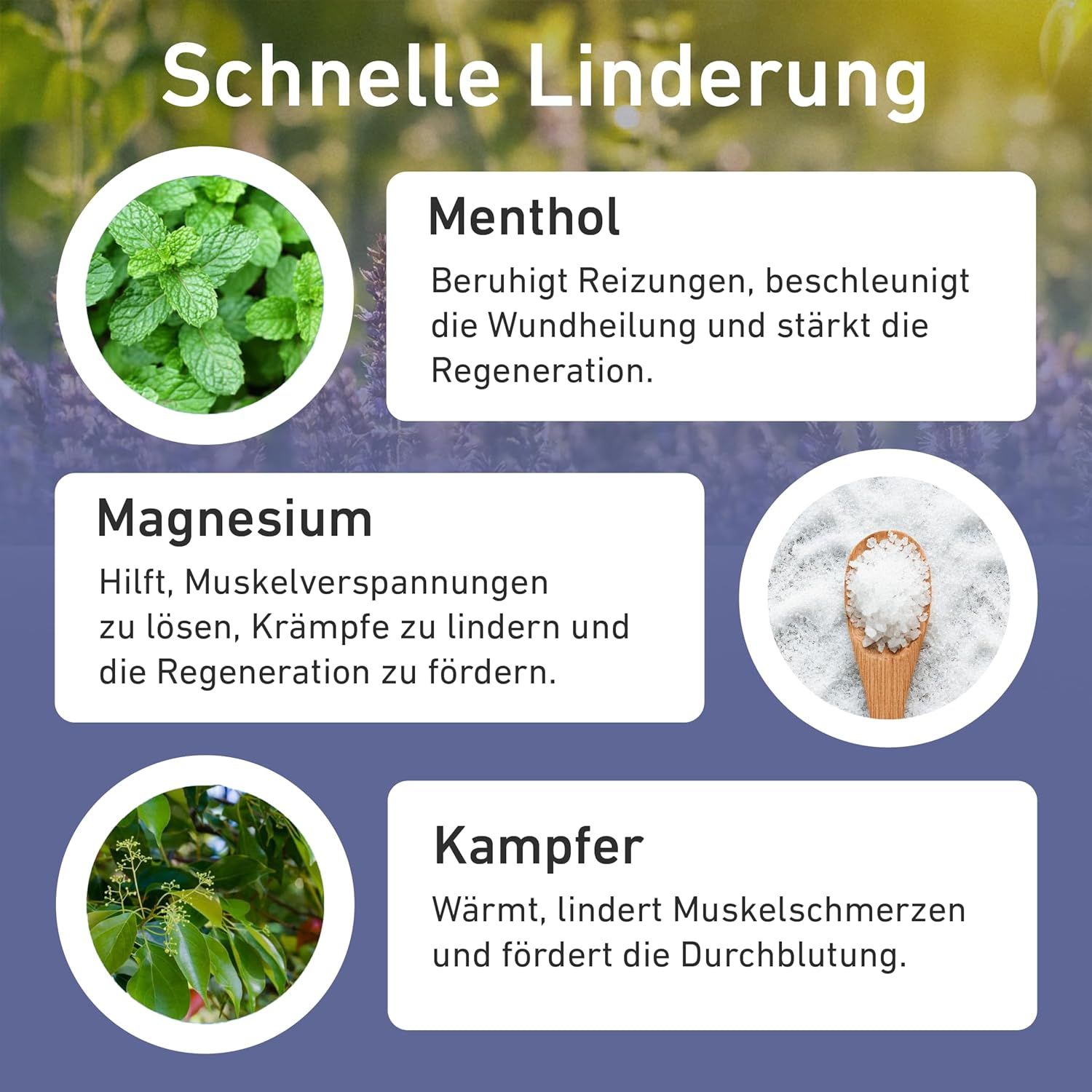 Menta piperita, magnesio, canfora. Testo: Sollievo rapido. Ingredienti e loro effetti.
