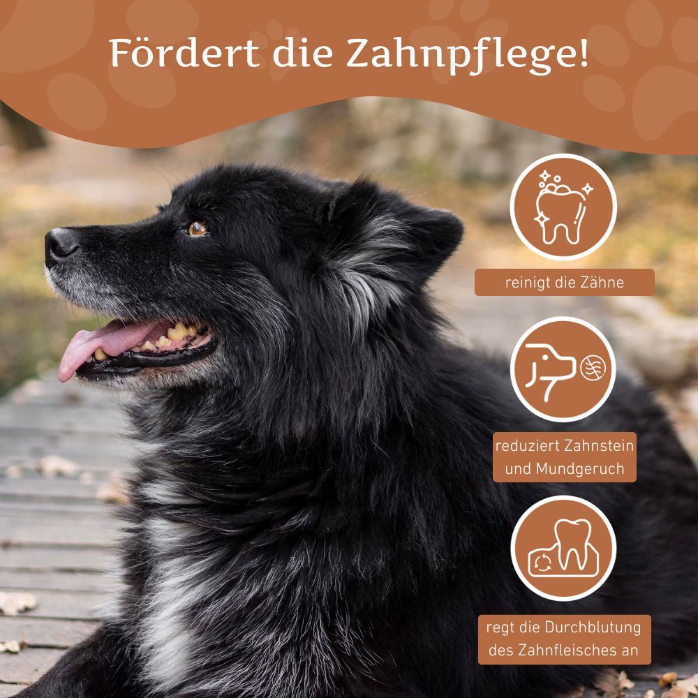 Cane nero con la bocca aperta. Grafici mostrano: pulizia dei denti, riduzione del tartaro, stimolazione della circolazione sanguigna delle gengive.