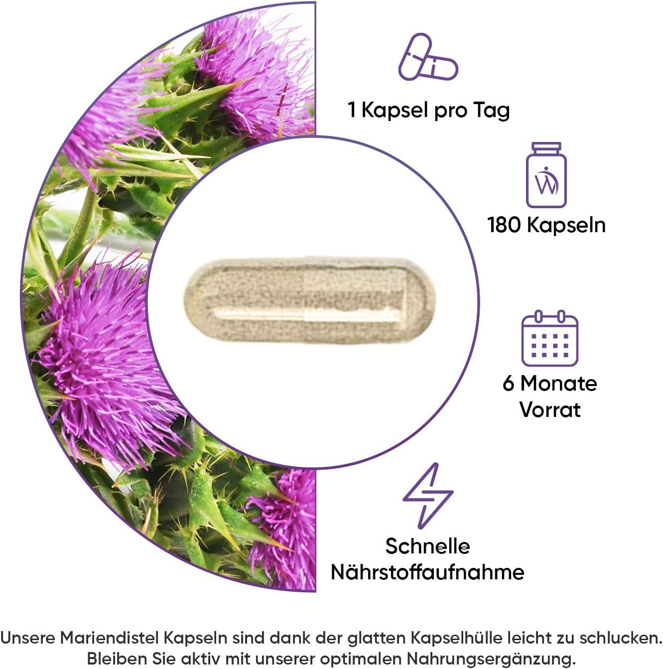 Grafica con capsula di cardo mariano, fiori e icone. 1 capsula al giorno, 180 capsule, 6 mesi di fornitura, rapido assorbimento dei nutrienti.