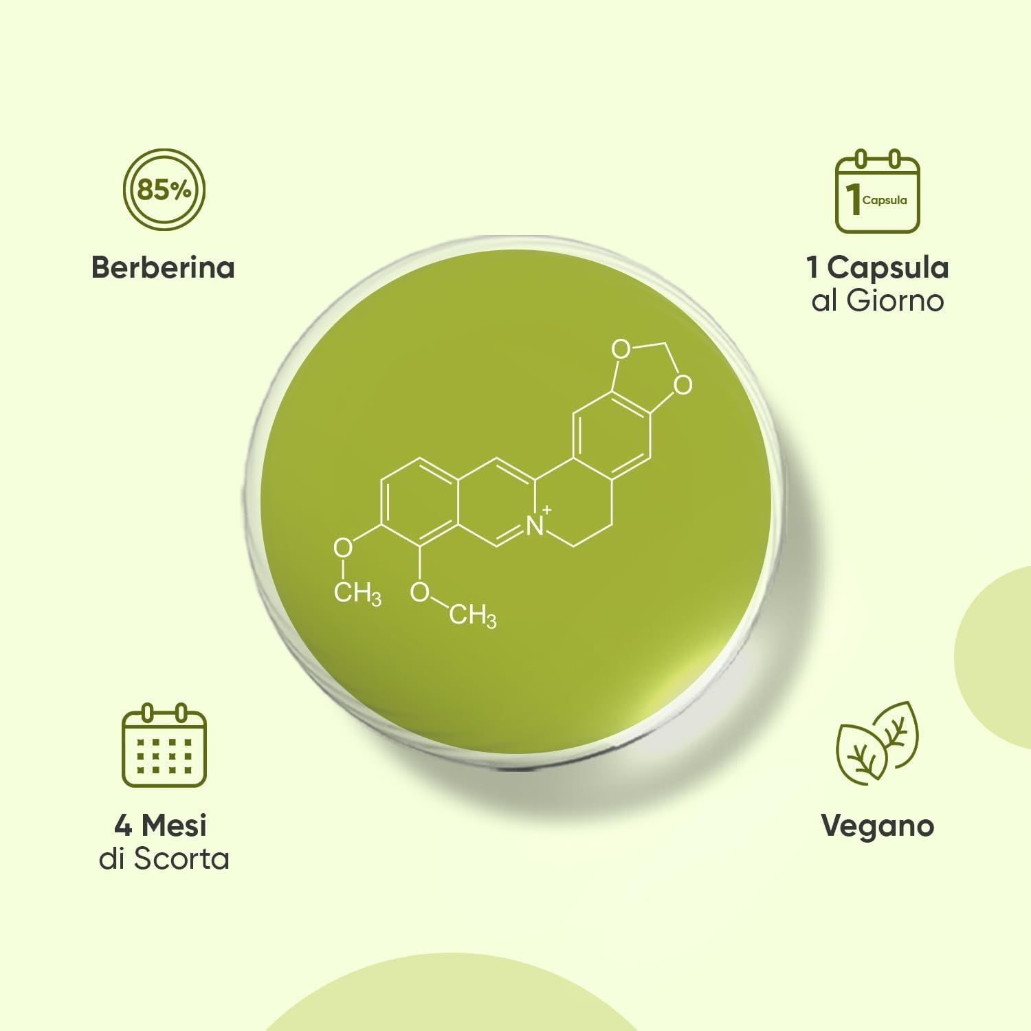 Immagine circolare con informazioni sulla berberina. Contiene informazioni su ingredienti e caratteristiche.