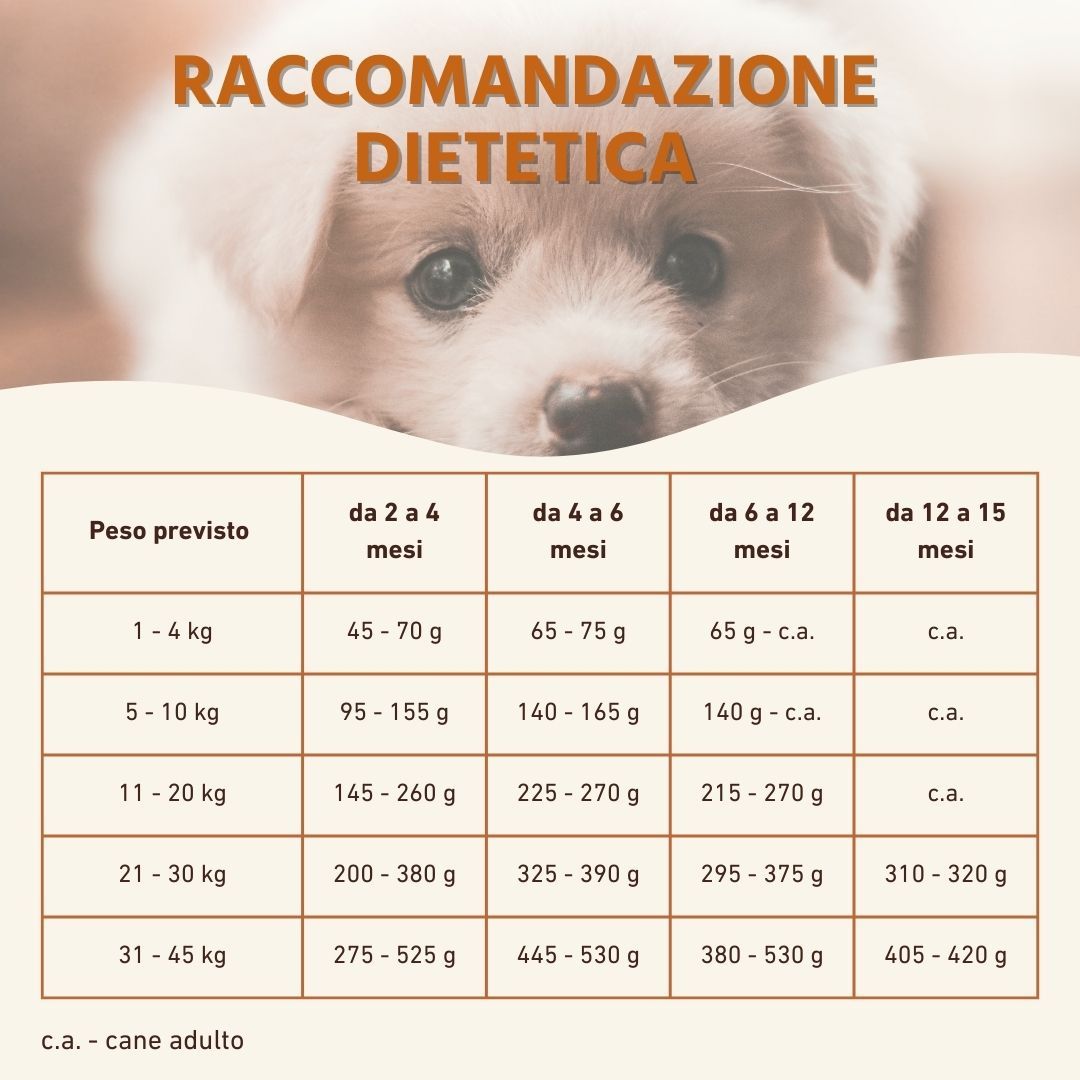 Tabella con raccomandazioni alimentari per cuccioli per peso ed età. Testo: Raccodazione Dietetica, Peso previsto, da 2 a 4 mesi, da 4 a 6 mesi.