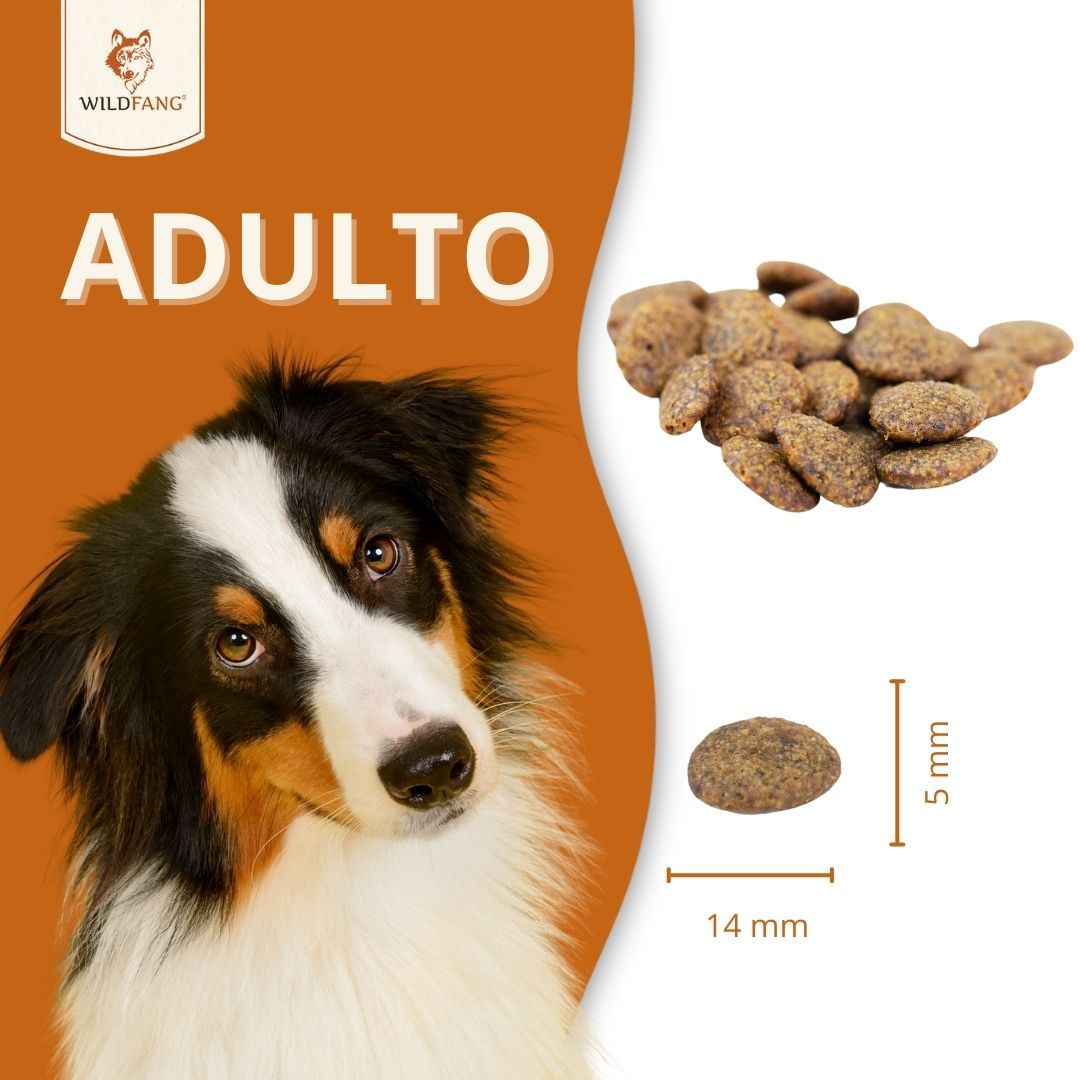 Crocchetta di cibo secco accanto a un cane. Testo: Adulto. Dimensioni: 14 mm x 5 mm. Immagine del prodotto.