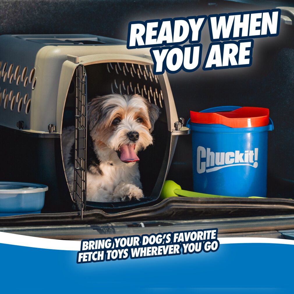 Chuckit Bucket con ultra ball Medium 8 pezzi.