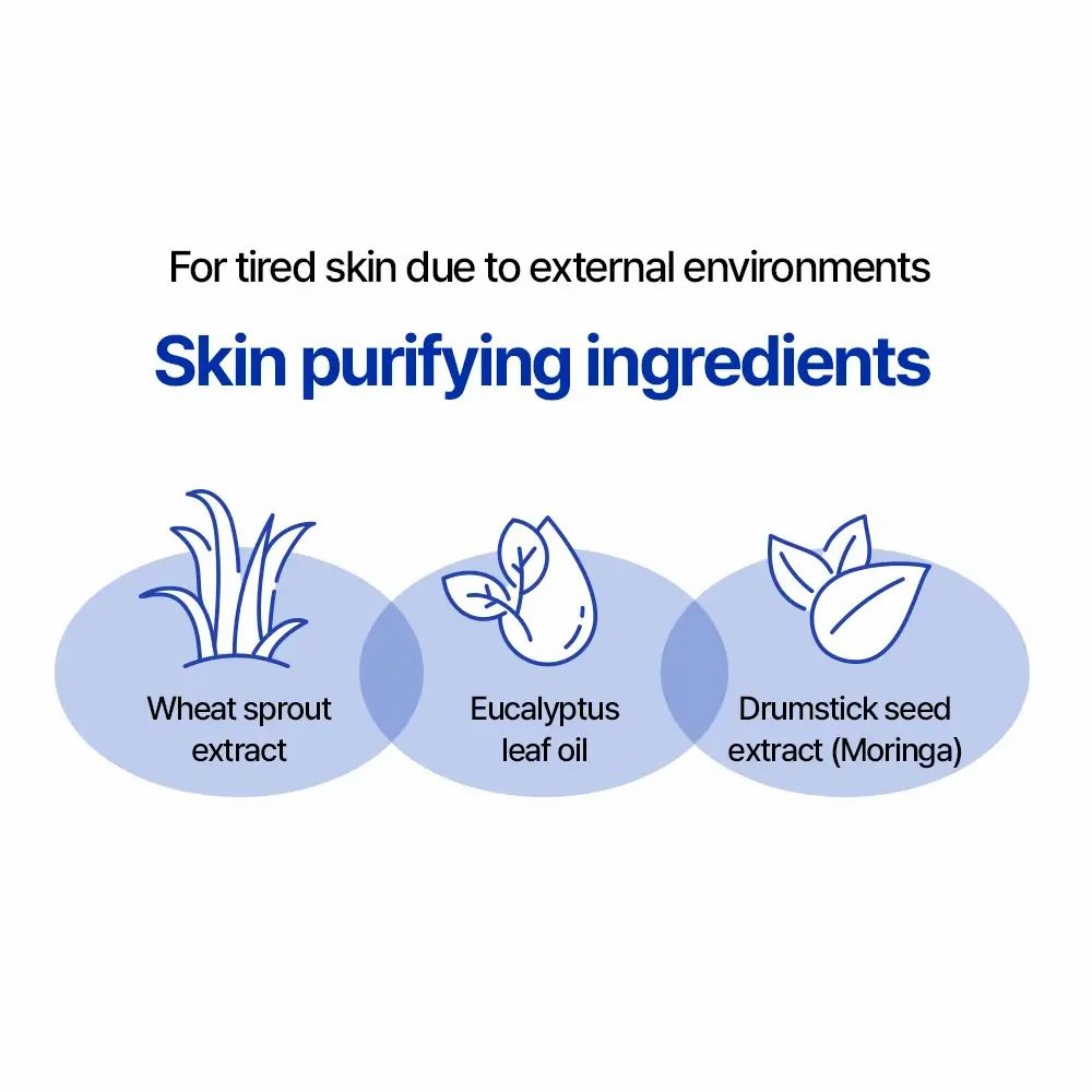 Grafica con tre elementi ovali. Contiene illustrazioni di germogli di grano, olio di foglie di eucalipto ed estratto di semi di Moringa.