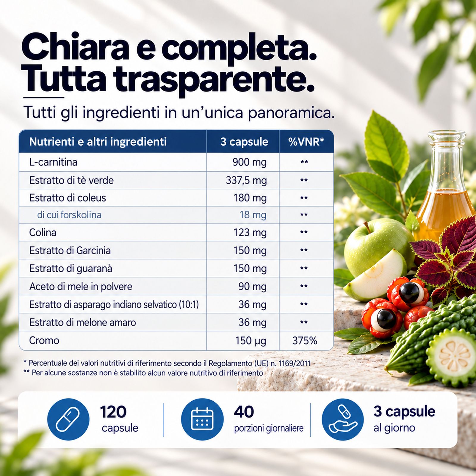 Panoramica degli ingredienti del SonneSee Stoffwechsel Komplex: L-Carnitina, estratto di tè verde, Colina, Cromo.