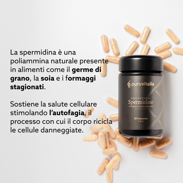 Flacone con capsule. Testo: Spermidina in alimenti come germe di grano. Supporta la salute cellulare tramite autofagia.