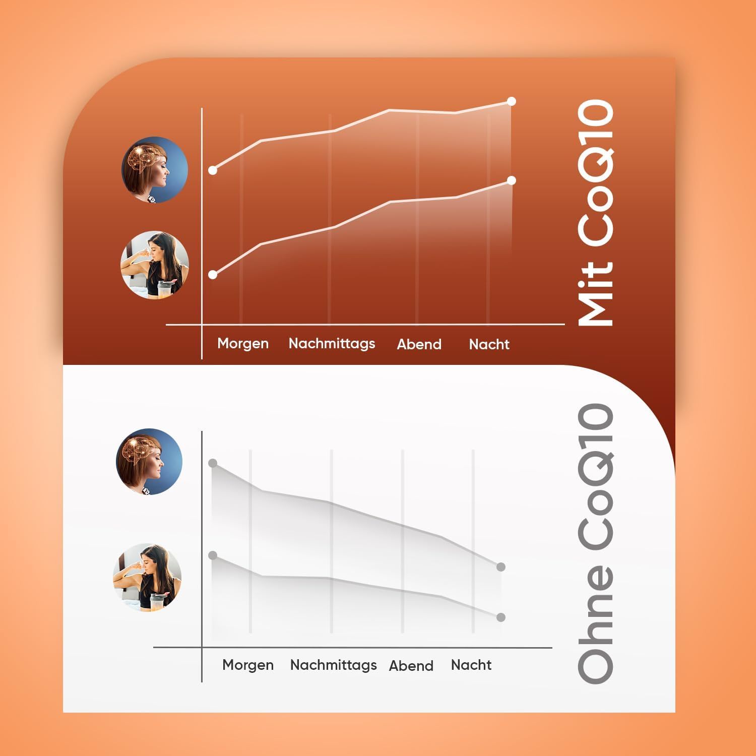 Grafico con diagrammi: effetto di CoQ10 a confronto. Due diagrammi mostrano i cambiamenti durante la giornata, con e senza CoQ10.