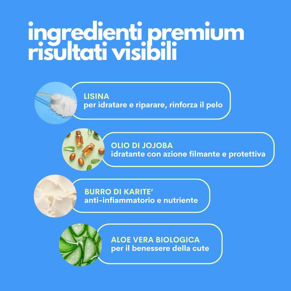 Jampy Shampoo Per Cani The Number One