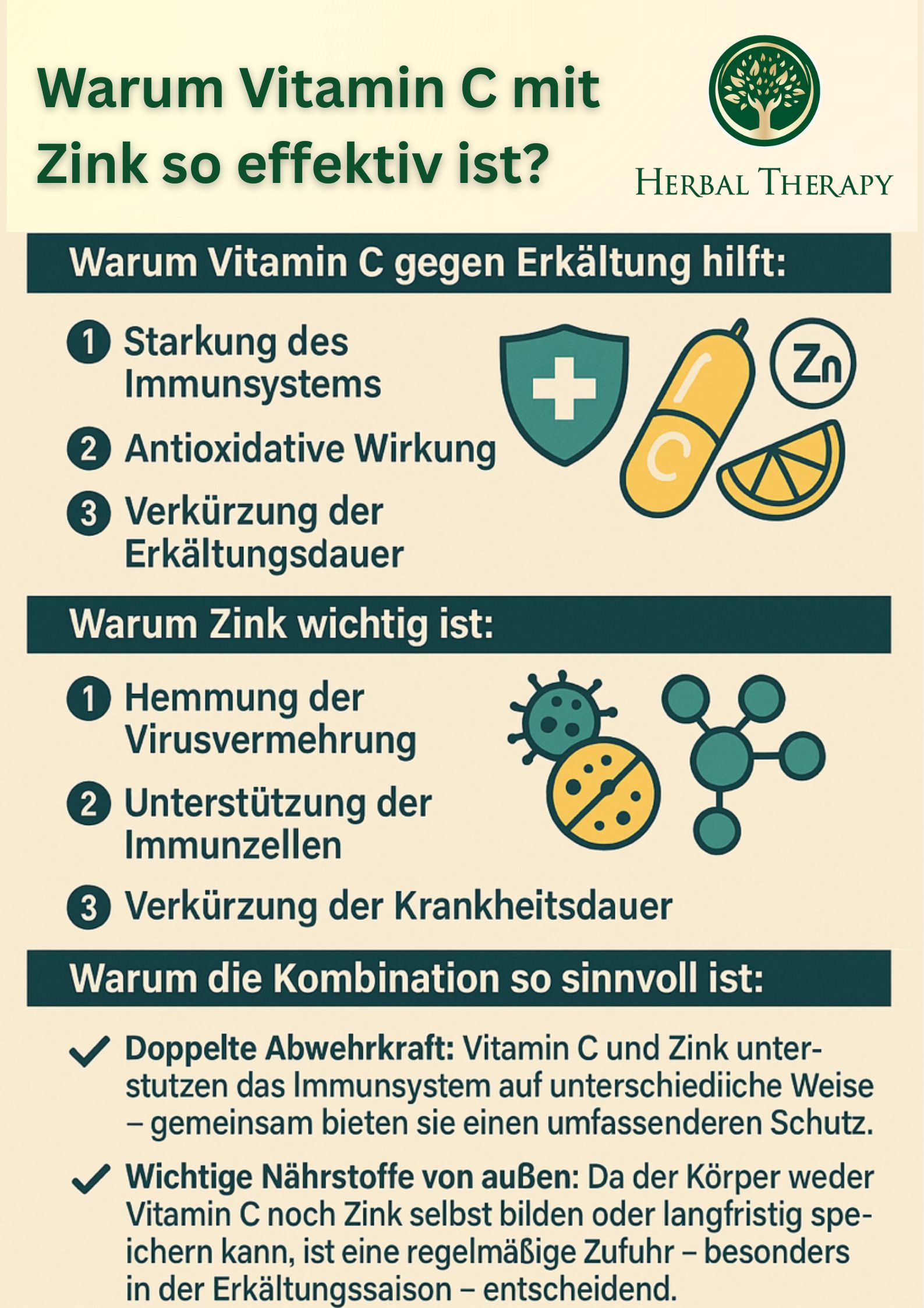 Infografica: Perché la vitamina C con zinco è così efficace? Testo e illustrazioni sui vantaggi della combinazione.