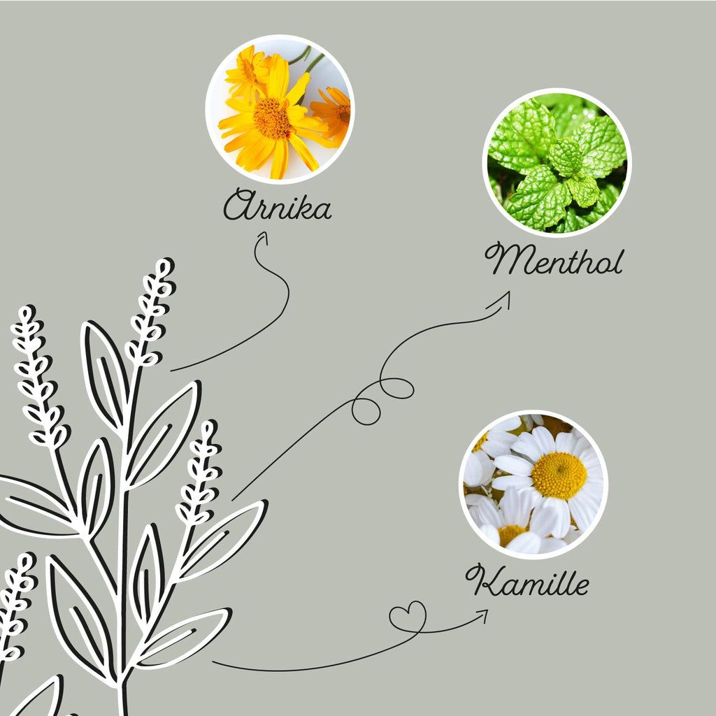 Grafica: erbe. Frecce che puntano a: Arnica, Mentolo, Camomilla. Testo: Arnica, Mentolo, Camomilla. Logo: Annimally.