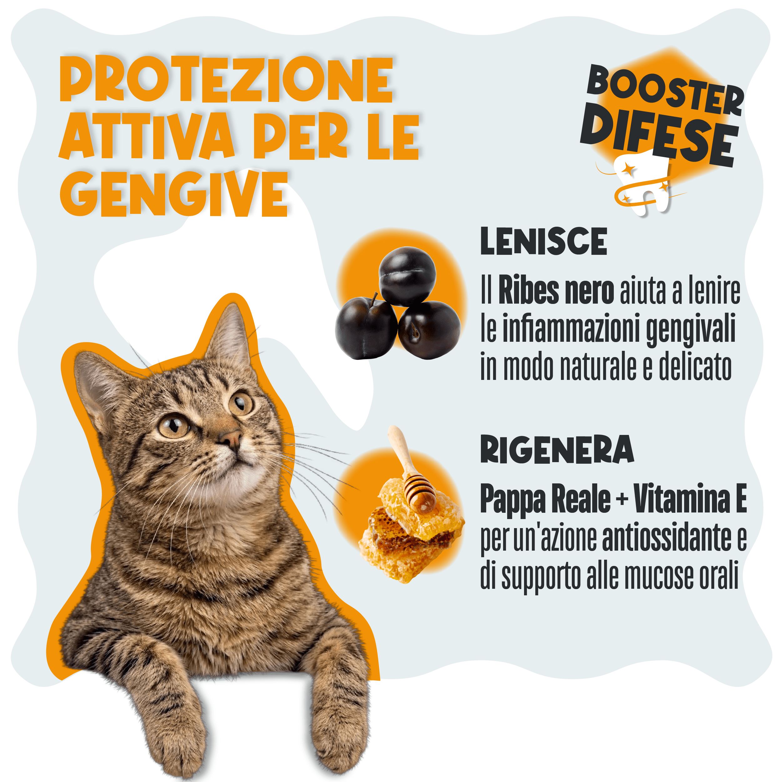 Pulizia Denti Cane e Gatto, Polvere Dentale Sciogli Tartaro e Placca | Dentifricio Senza Spazzolino