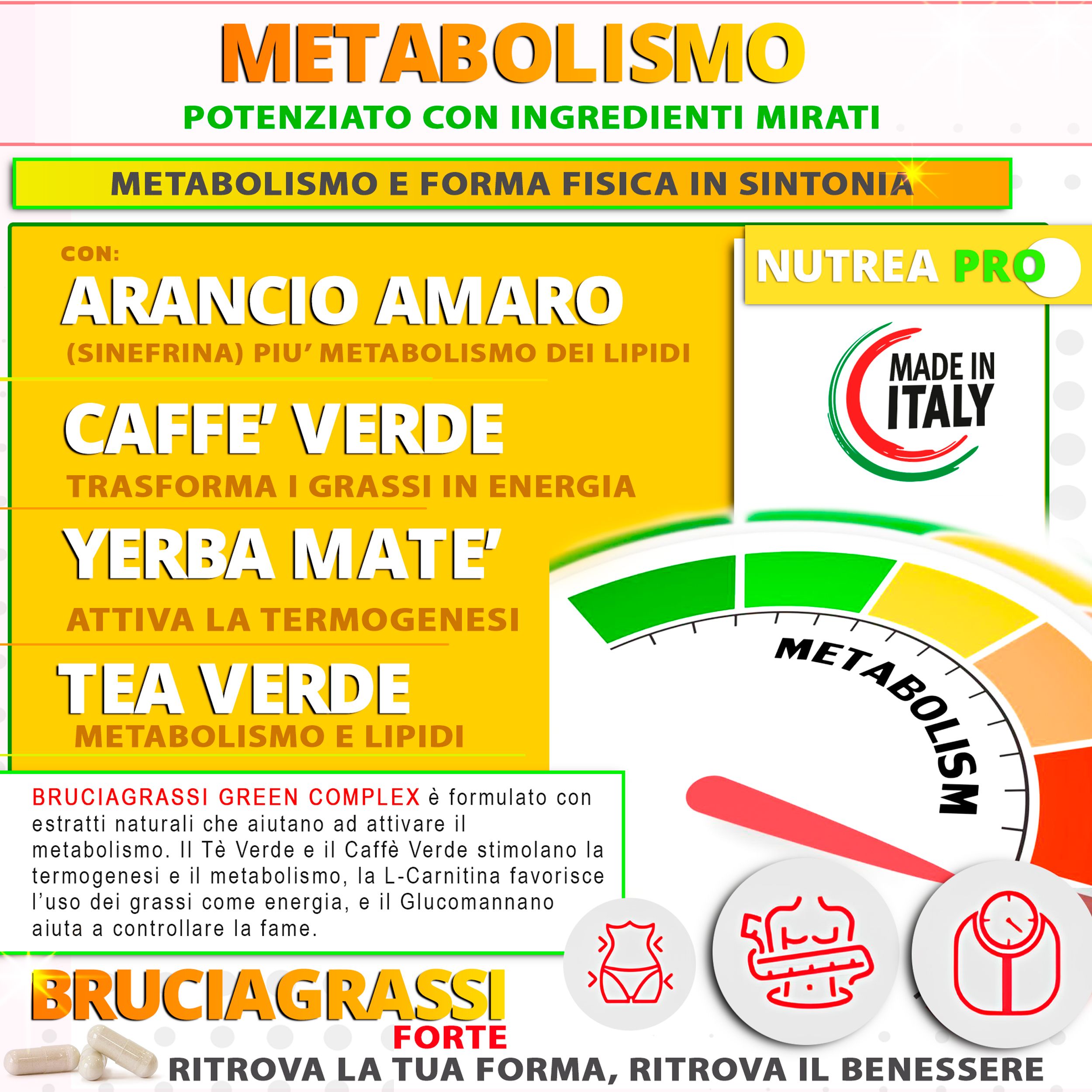 Potenziatore metabolico: Arancio Amaro, Caffè Verde, Yerba Mate, Tè Verde. Attiva termogenesi.