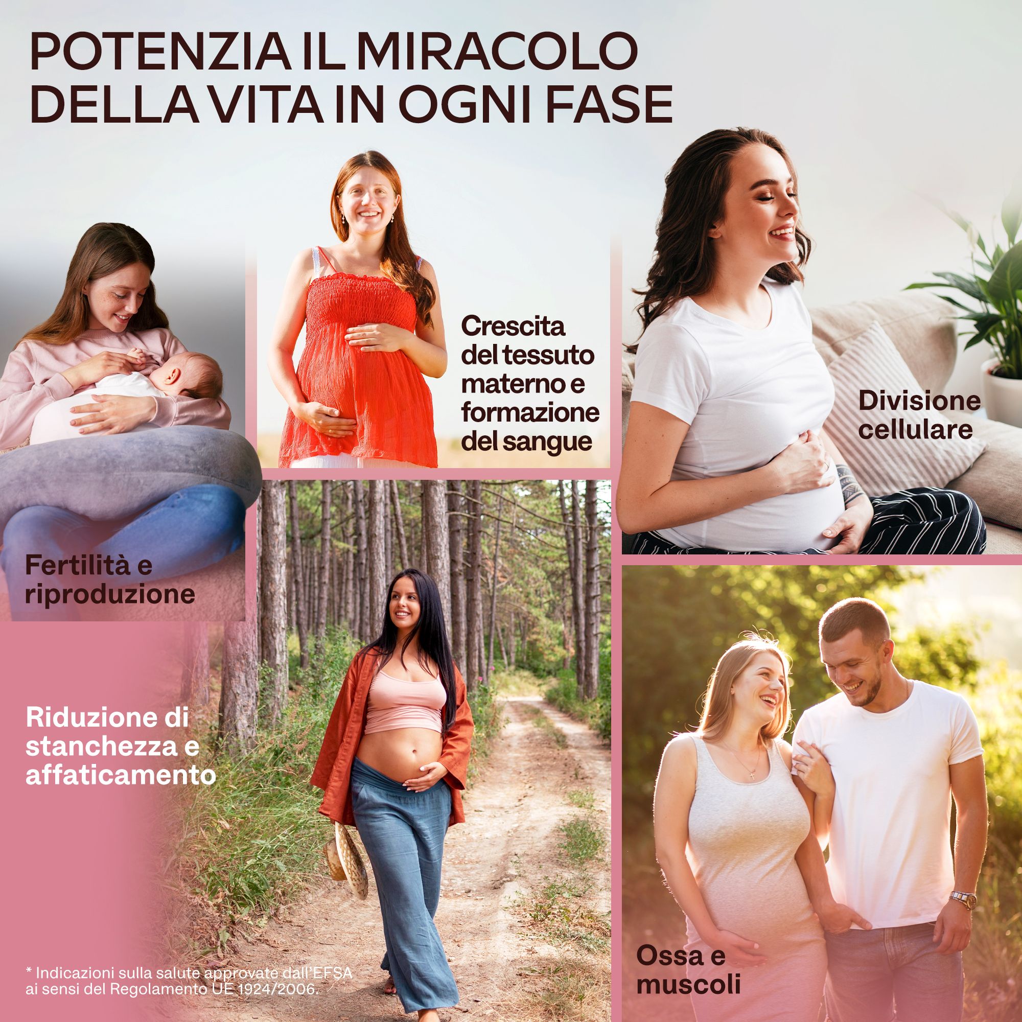 Aavalabs capsule di acido folico. Flacone di capsule. Contiene 120 capsule. Scritta: 400 μg di acido folico. Vegano.