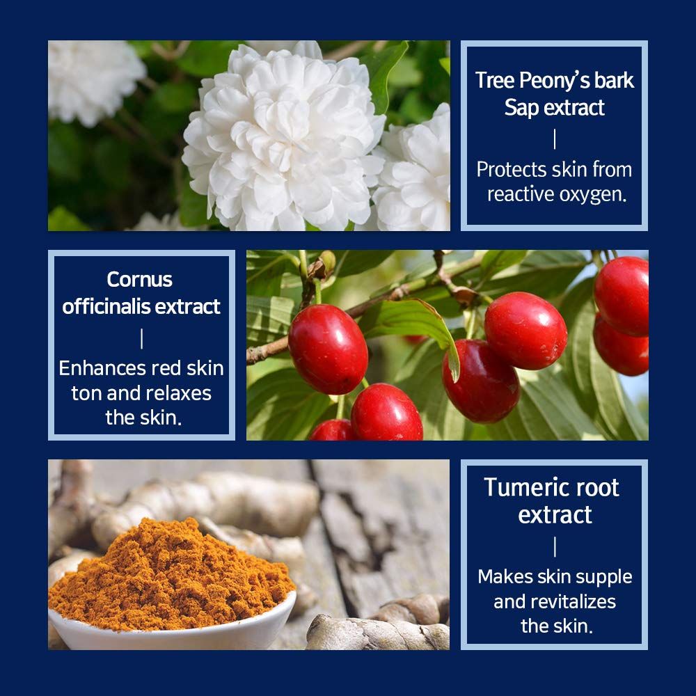 Grafica con immagini di ingredienti: peonia, corniolo, curcuma. Testo: estratto, protegge, rilassa, rivitalizza.