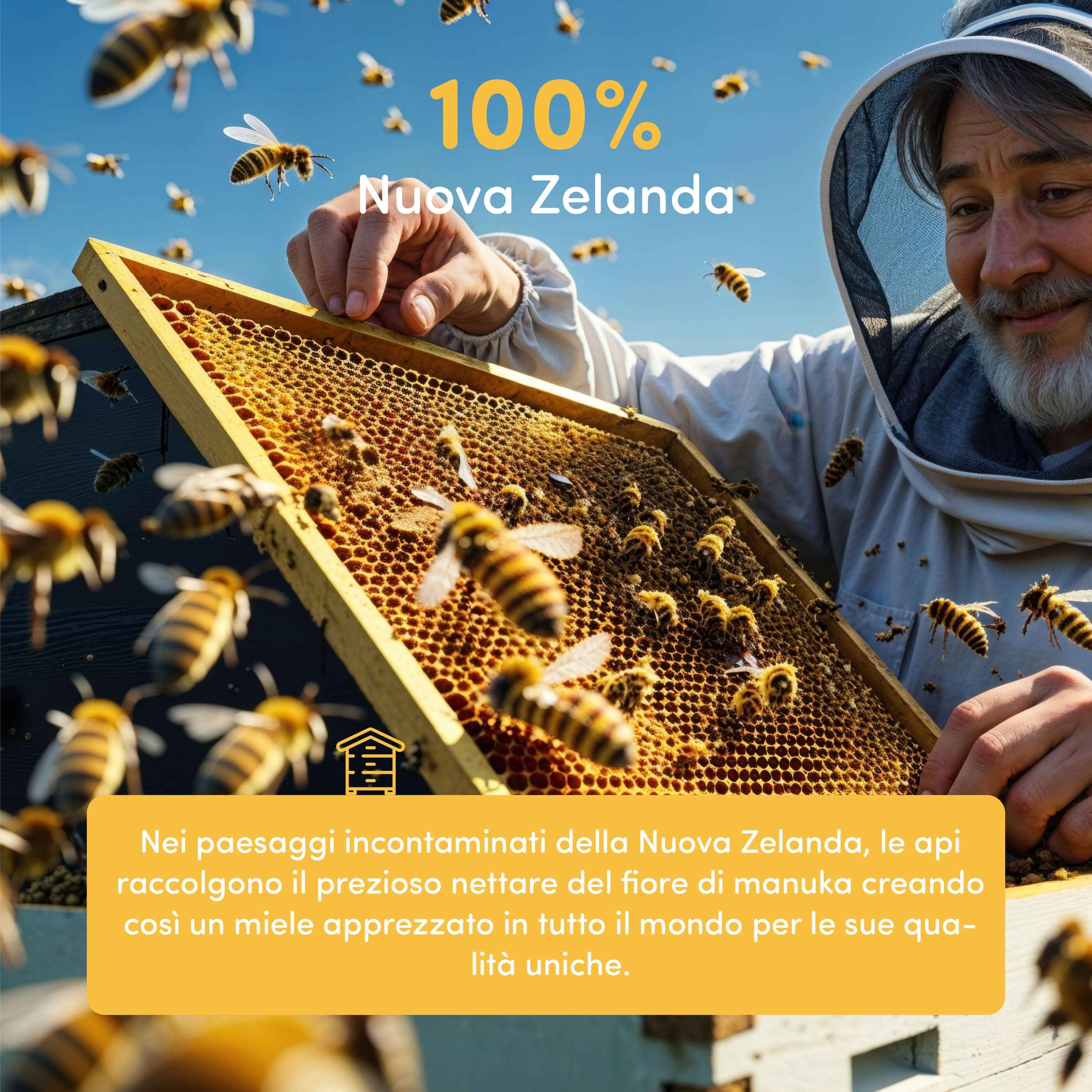 Apicoltore vicino a favi con molte api. "100% Nuova Zelanda".