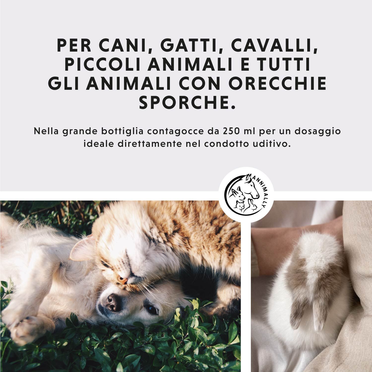 Cane e gatto sdraiati insieme. Testo: PER CANI, GATTI, CAVALLI, PICCOLI ANIMALI E TUTTI GLI ANIMALI CON ORECCHIE SPORCHE. Flacone da 250 ml con contagocce.