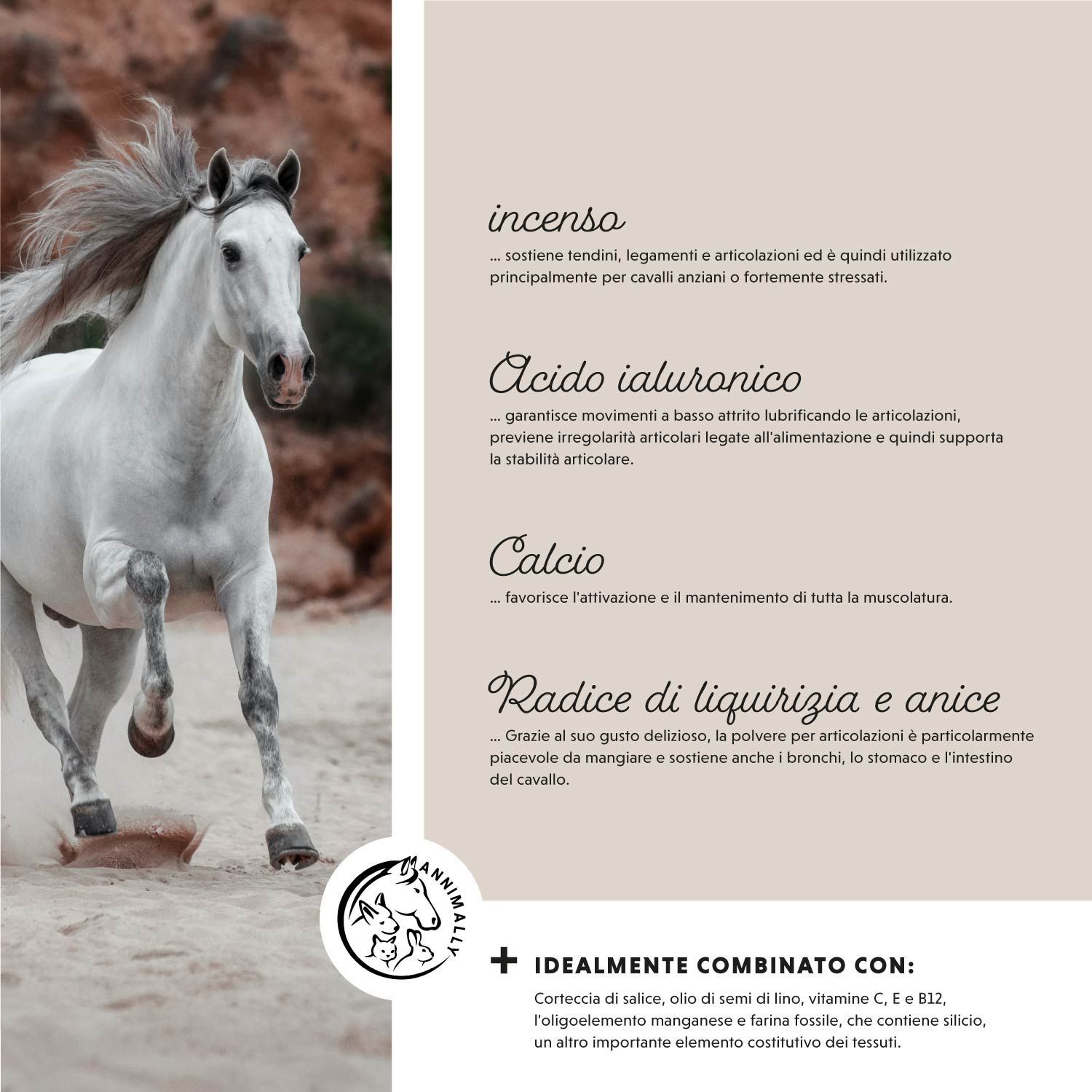 Testo con ingredienti e cavallo. Ingredienti: Incenso, Acido Ialuronico, Calcio, Radice di liquirizia e anice.