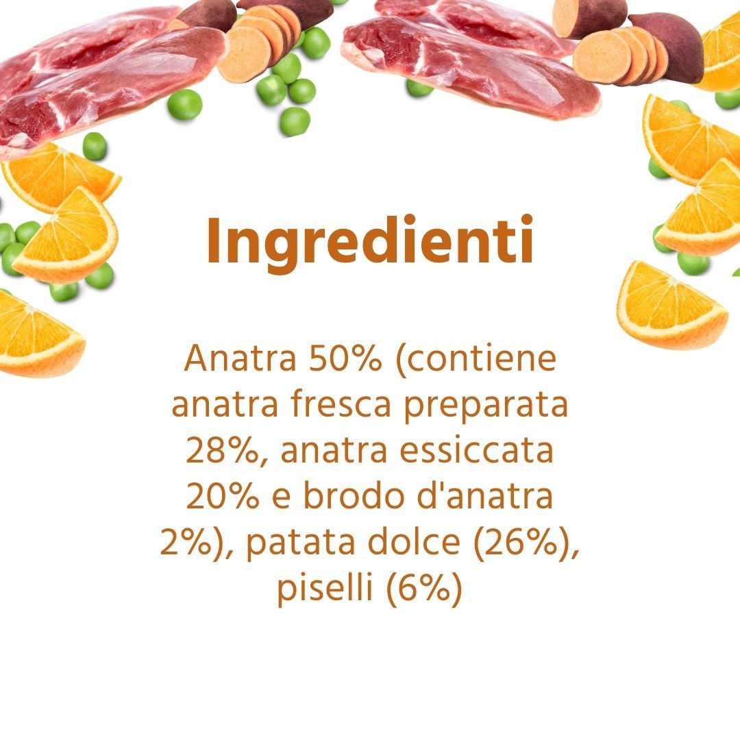 Testo con elenco ingredienti: Anatra 50% (contiene anatra fresca 28%, anatra essiccata 20% e brodo d'anatra 2%), patata dolce (26%), piselli (6%).