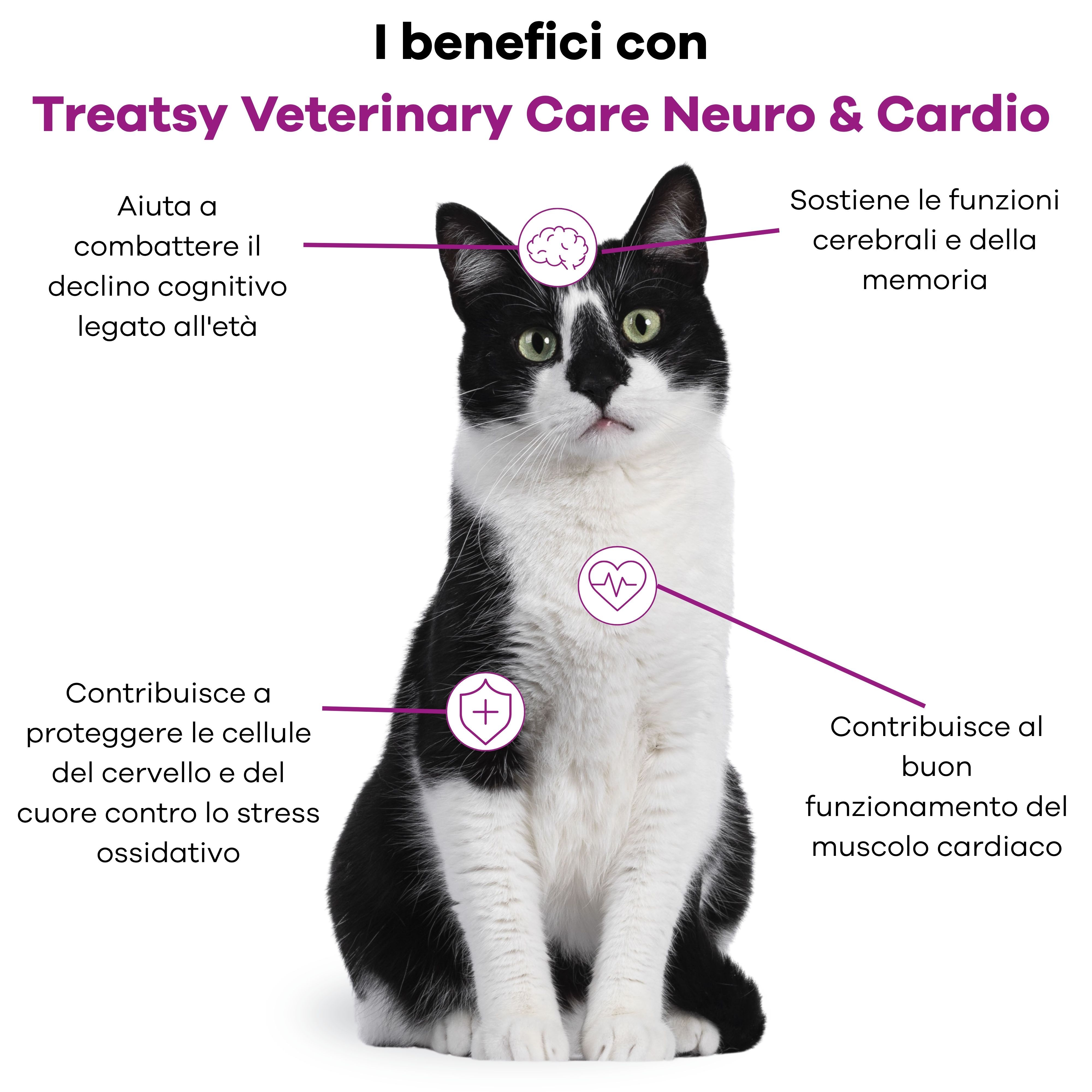 Gatto bianco e nero con icone che evidenziano i benefici cognitivi e cardiaci.