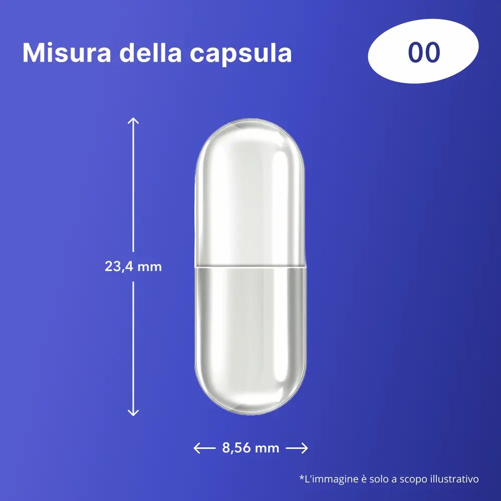 Dimensione della capsula. Capsula con dimensioni: 23,4 mm x 8,56 mm. Immagine simbolica.