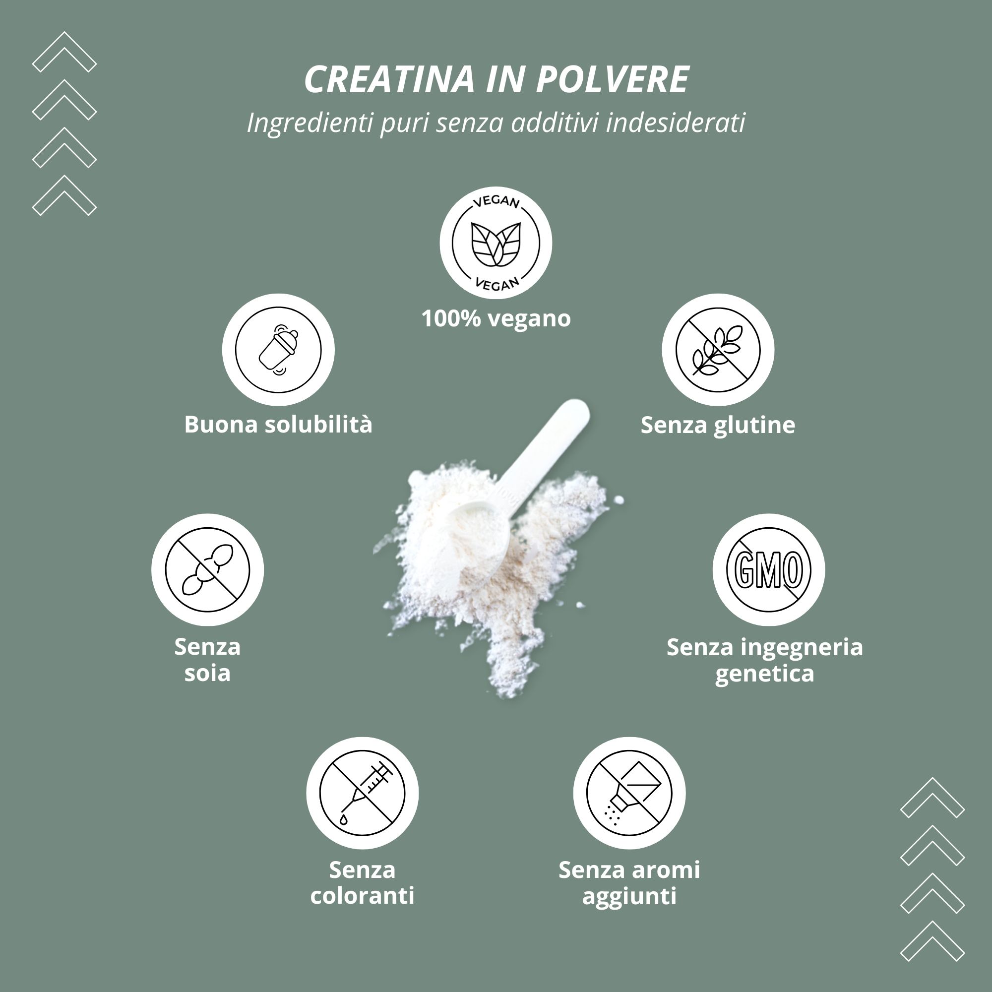Grafica con 'CREATINA IN POLVERE'. Icone: vegano, buona solubilità, senza glutine, senza soia, senza OGM, senza coloranti, senza aromi.