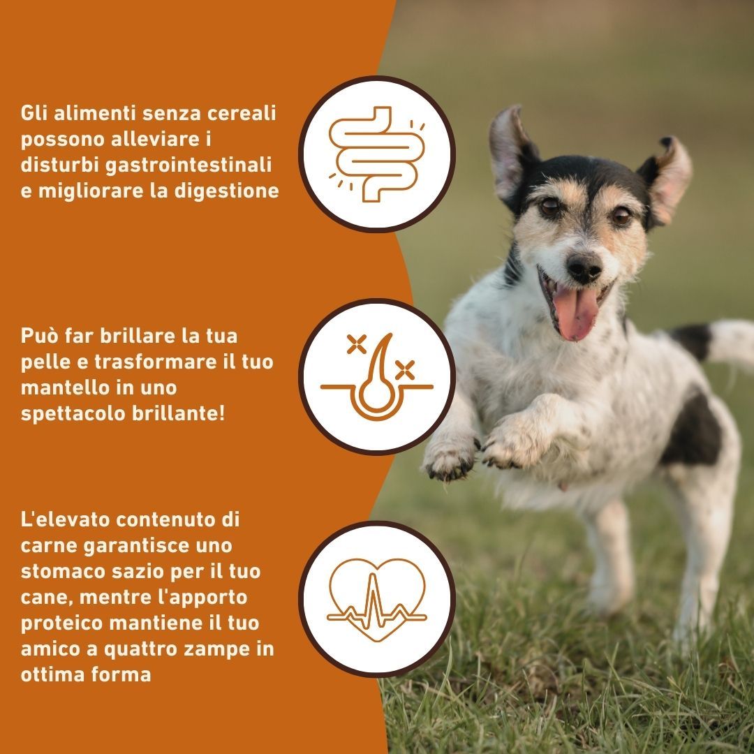 Cane con simboli per digestione, pelle e cuore. Testo: Gli alimenti senza cereali possono alleviare i disturbi gastrointestinali.
