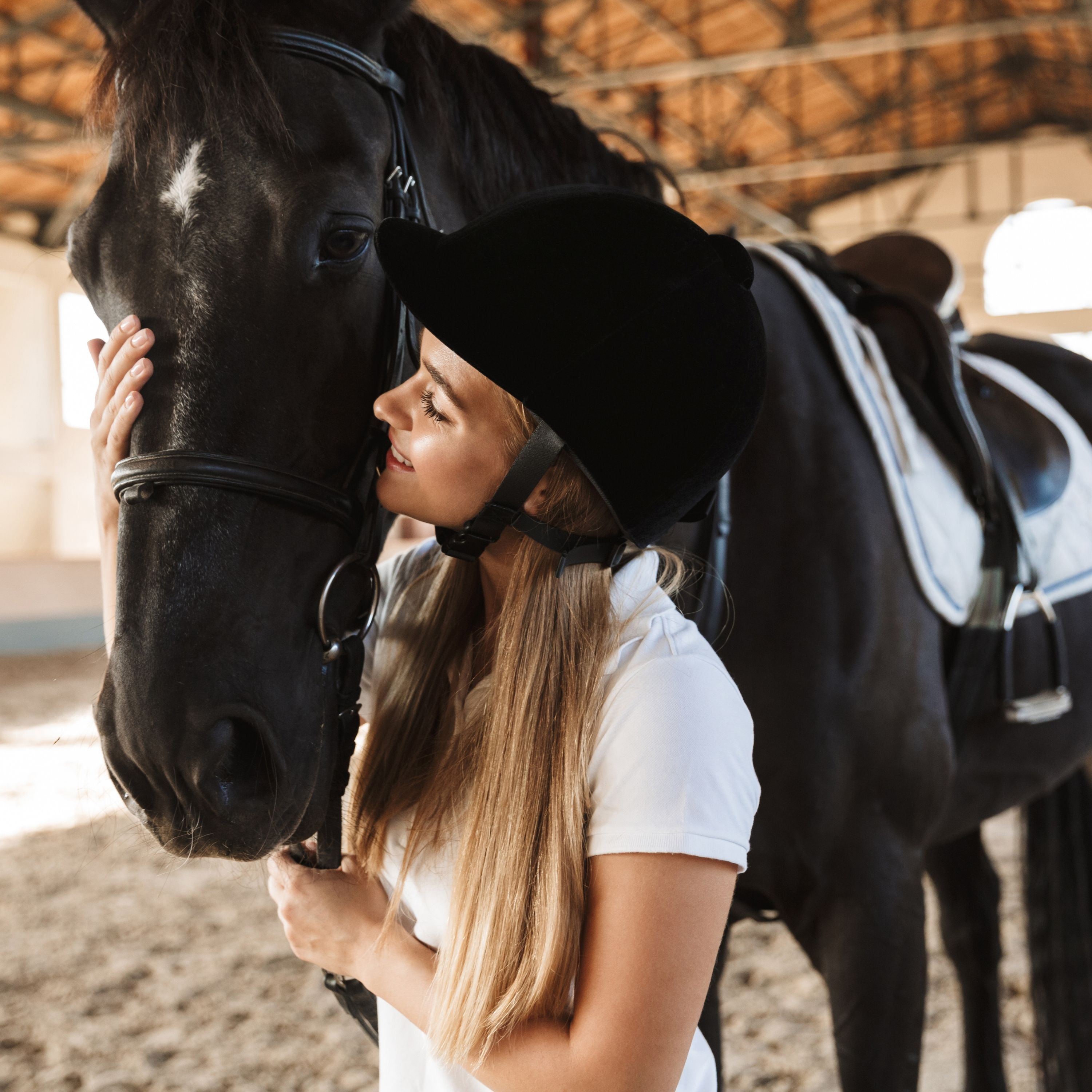 Una donna abbraccia un cavallo nero. La donna indossa un casco da equitazione. Cavallo nella stalla. Ambiente luminoso.