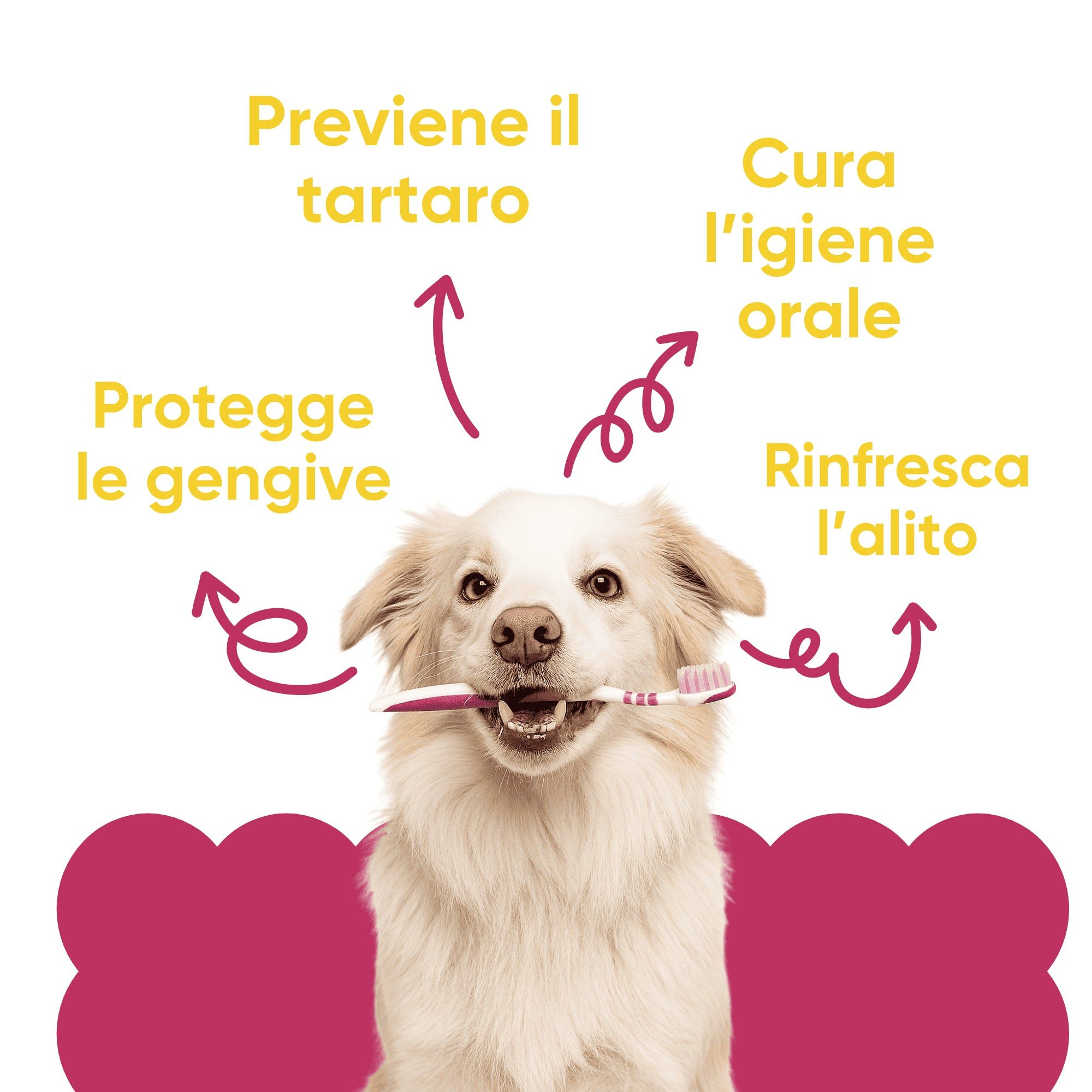 Cane con spazzolino in bocca. Frecce indicano testo: igiene orale, alito fresco, protezione gengive, prevenzione tartaro.