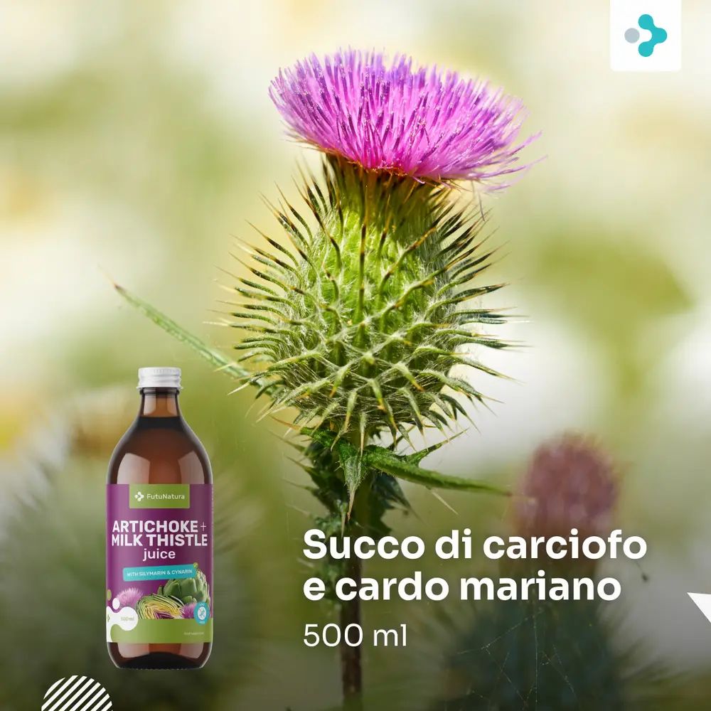 Bottiglia di succo di carciofo e cardo mariano accanto a un cardo fiorito.