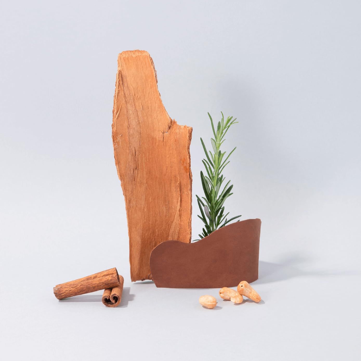 Composizione di bastoncini di cannella, pezzi di legno, rametto di rosmarino e mandorle su sfondo chiaro.