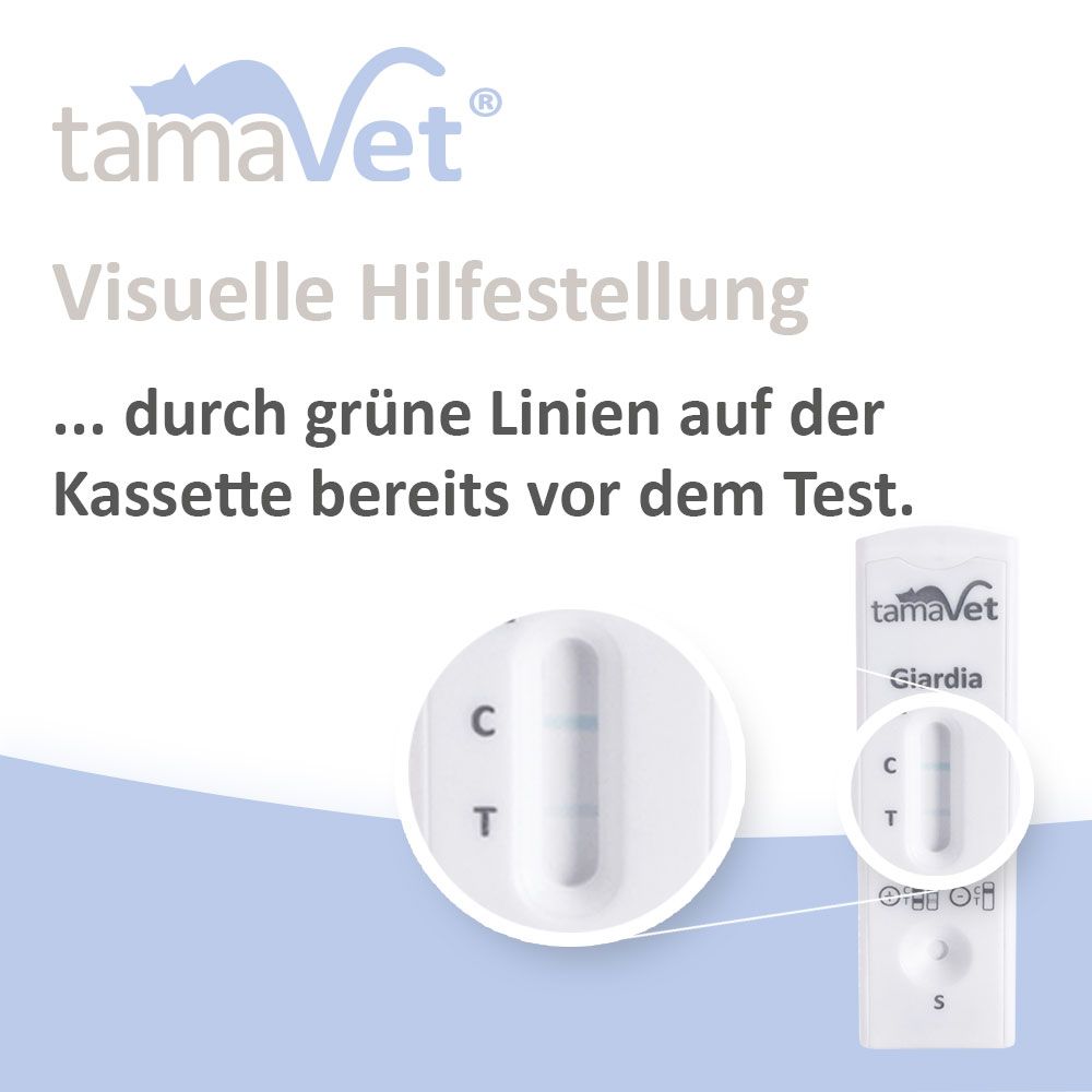 tamaVet test rapido per Giardia per cani e gatti