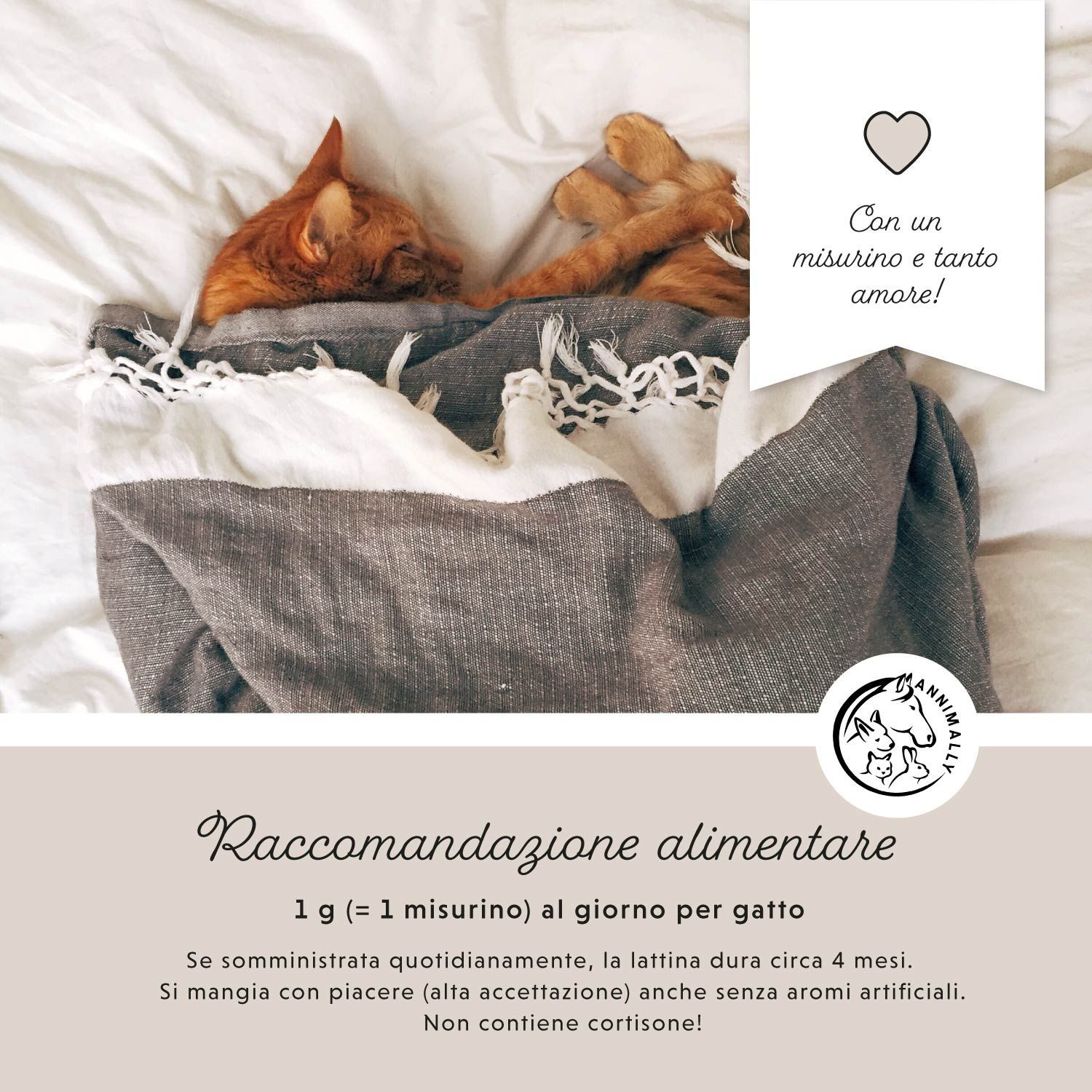 Tabella di testo con raccomandazioni alimentari. 1 g al giorno per i gatti. Due gatti sotto una coperta.