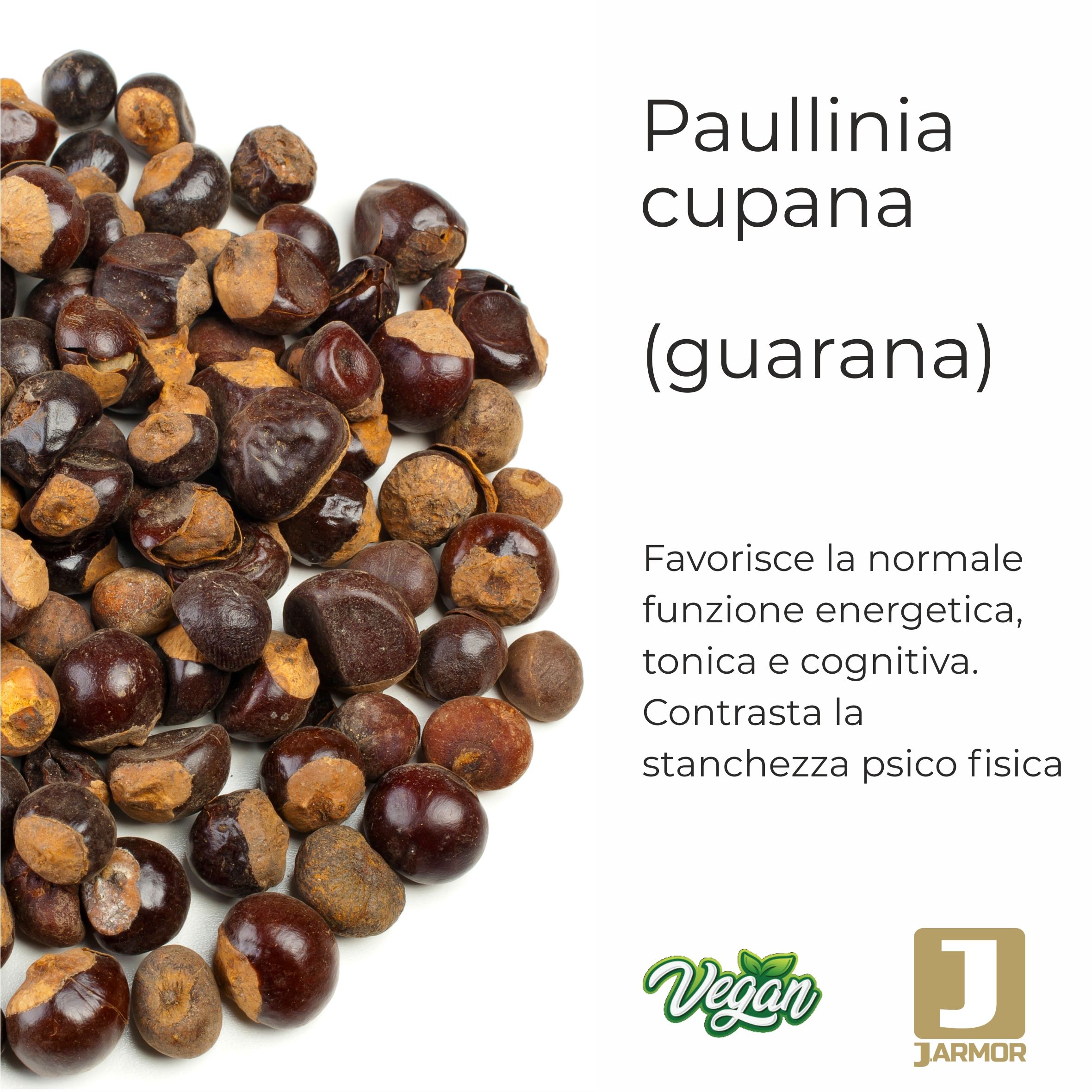 Primo piano di semi di guaranà. Testo: Paullinia cupana (guaranà). Sigillo vegano, logo J.Armor.
