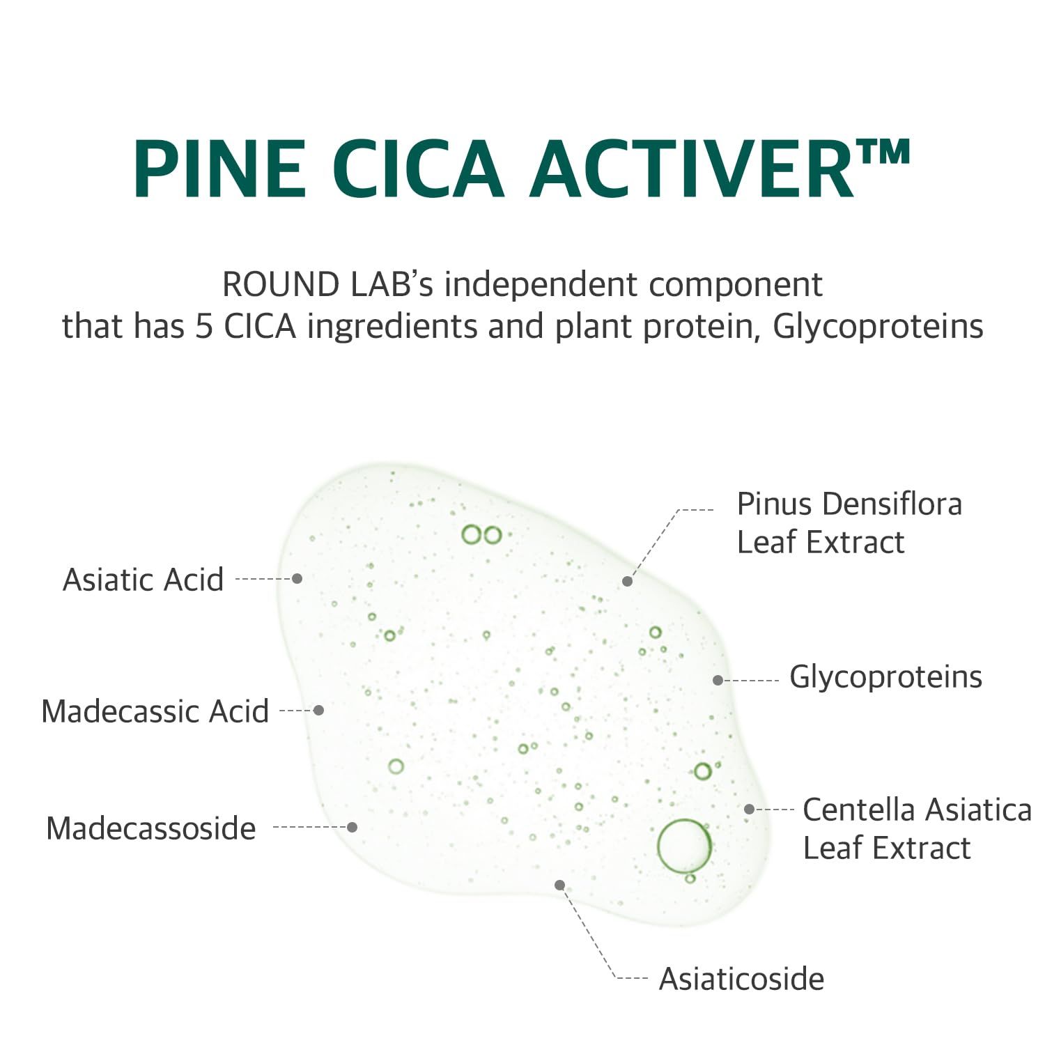 ROUND LAB Pine Calming Cica Pad