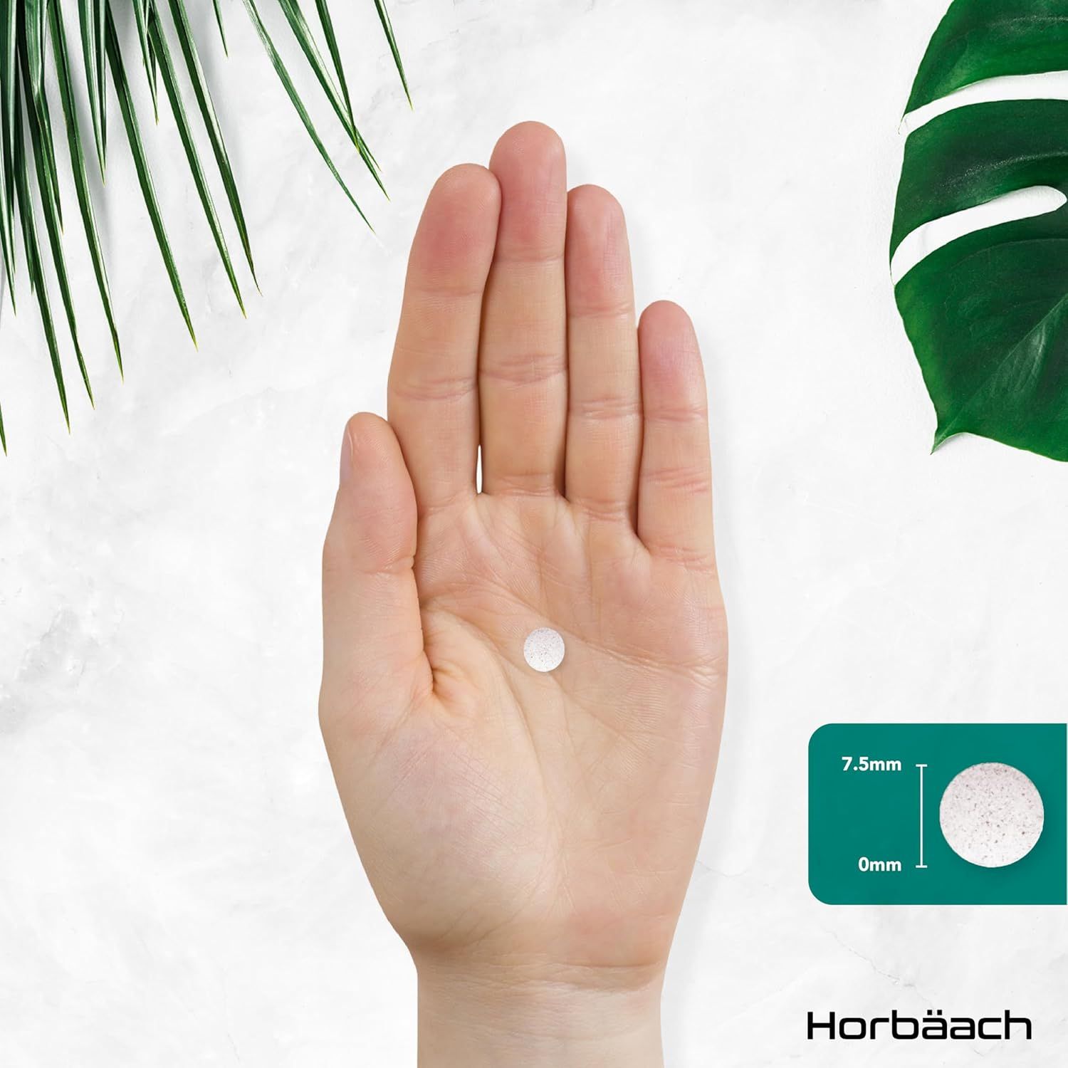 Una compressa su un palmo. Compressa bianca, 7,5 mm di diametro. Logo Horbaach.