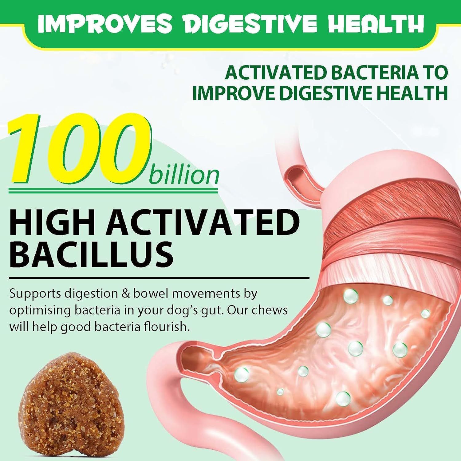 Illustrazione di uno stomaco di cane. Testo: Alto contenuto di Bacillus attivo. Supporta la digestione. 100 miliardi di batteri.