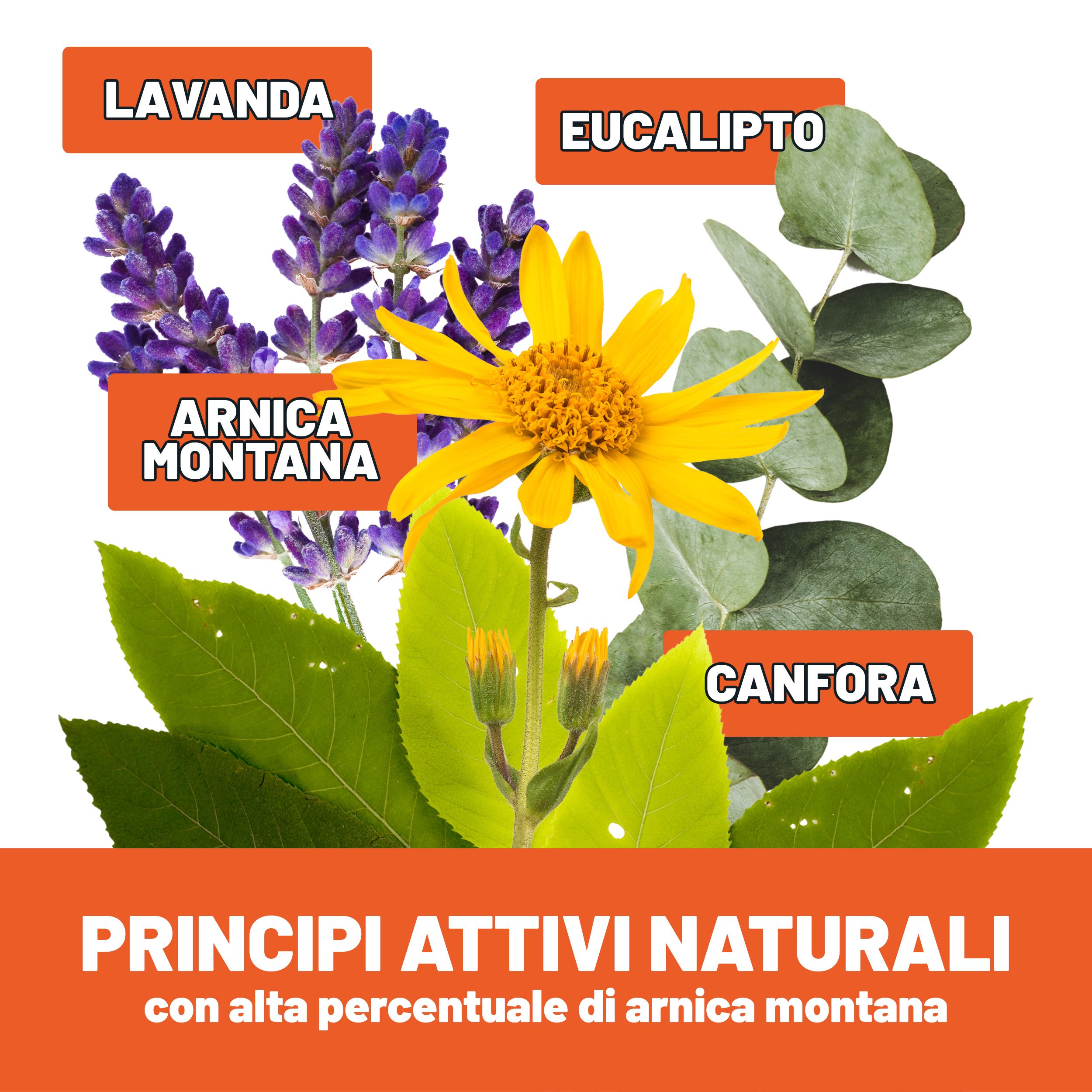 Grafica con lavanda, Arnica Montana, eucalipto e canfora. Testo: Principi attivi naturali con alta percentuale di arnica montana.
