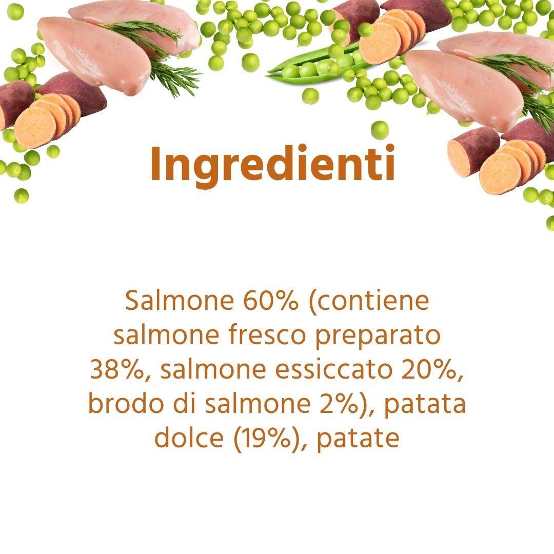 Wildfang - Junior Gourmet Box - Cibo secco e umido