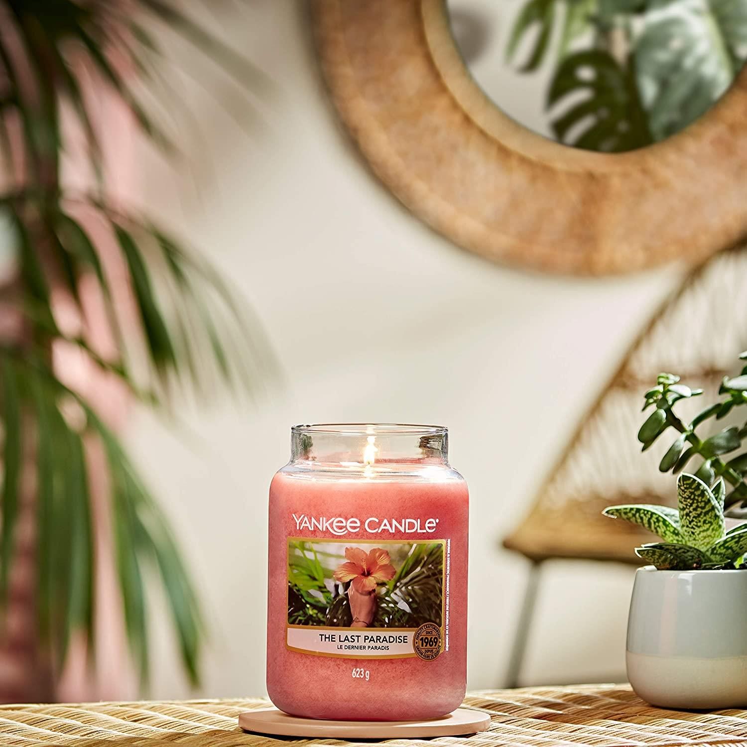 Yankee Candle Medium The Last Paradise. Candela rosa su sottobicchiere. Etichetta con fiore e palme. 411g. Sfondo.