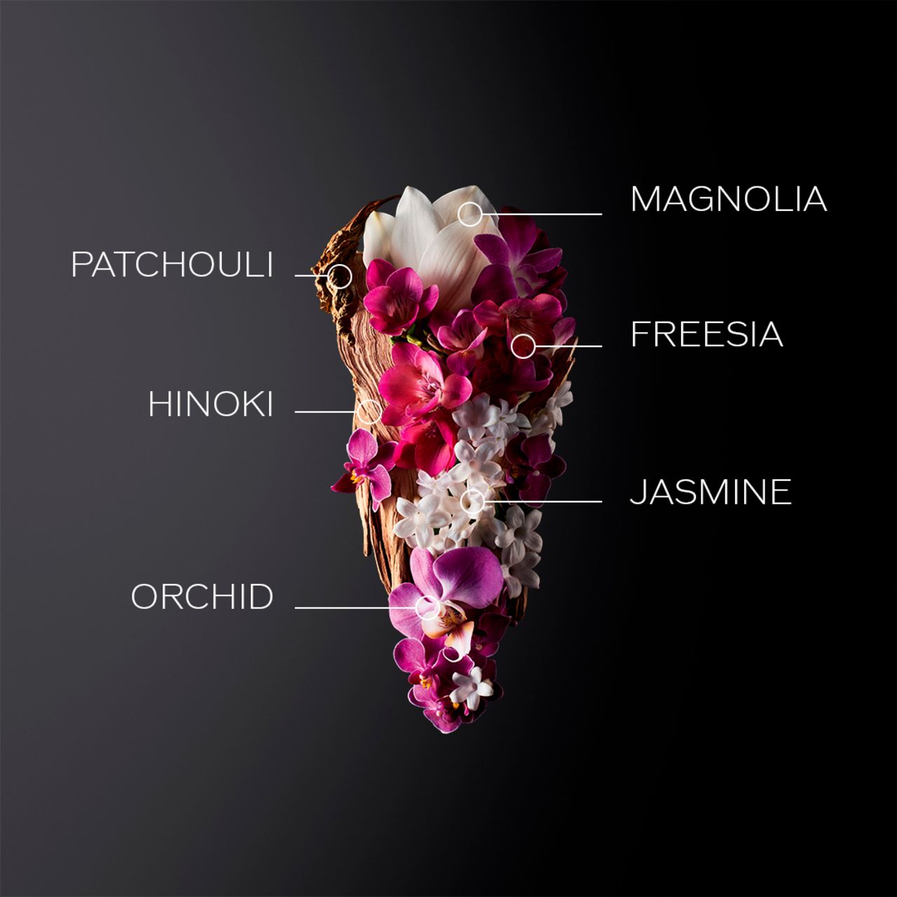 Composizione floreale con etichette: Magnolia, Freesia, Gelsomino, Orchidea, Patchouli, Hinoki.