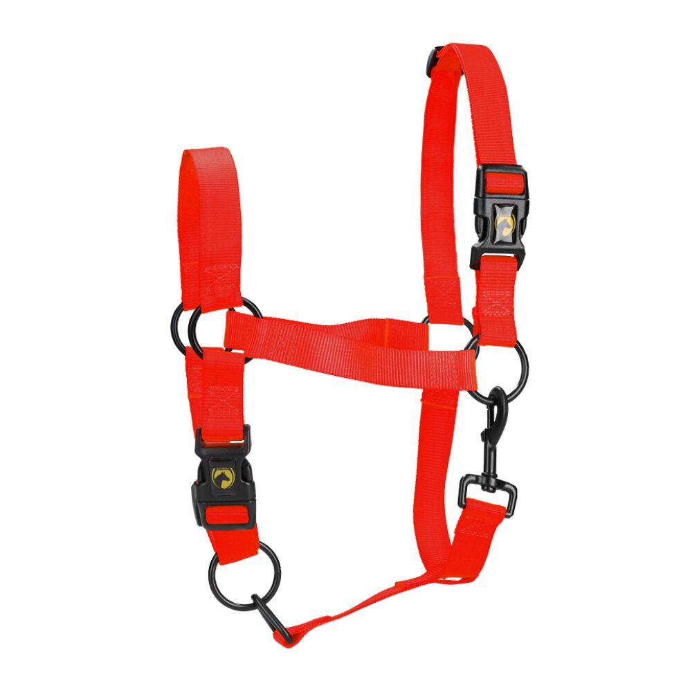 Imbracatura rossa con anelli e fibbie neri. Include un moschettone. Per mini-puledri.